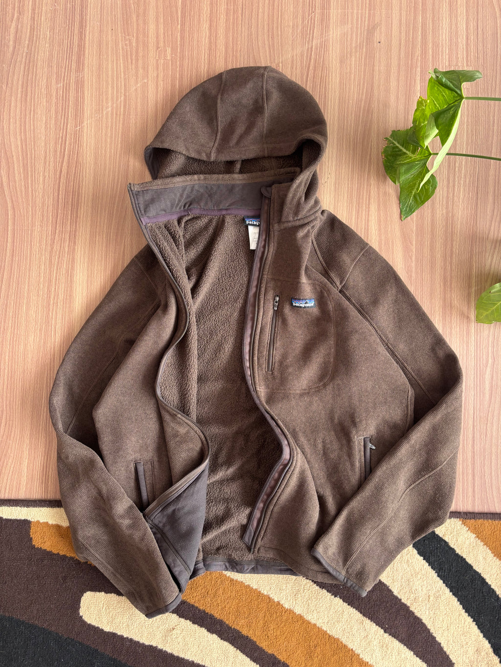 Fall 07 Patagonia fleece Hoody