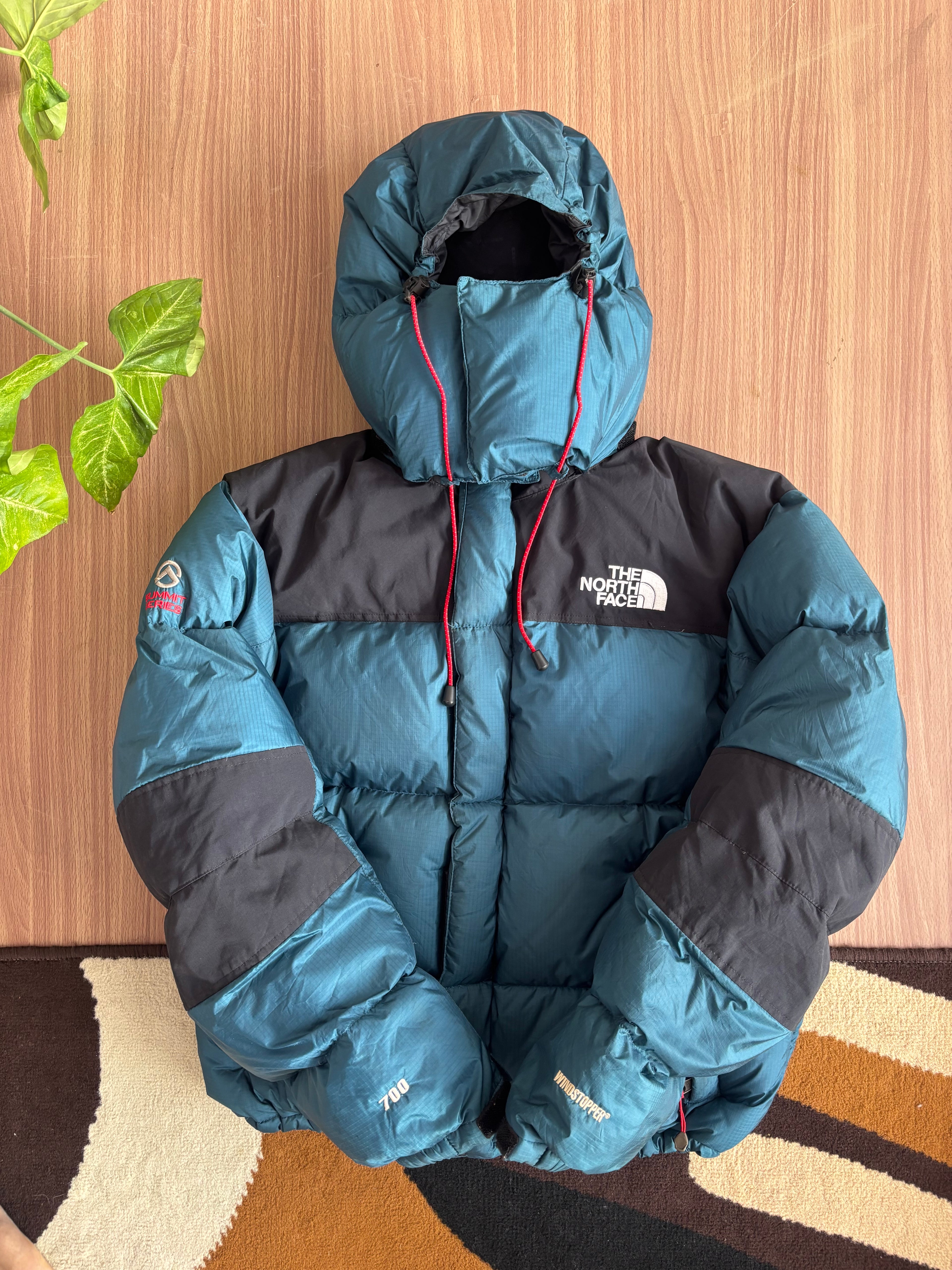 the north face summit series baltoro 700 down jacket (M)
