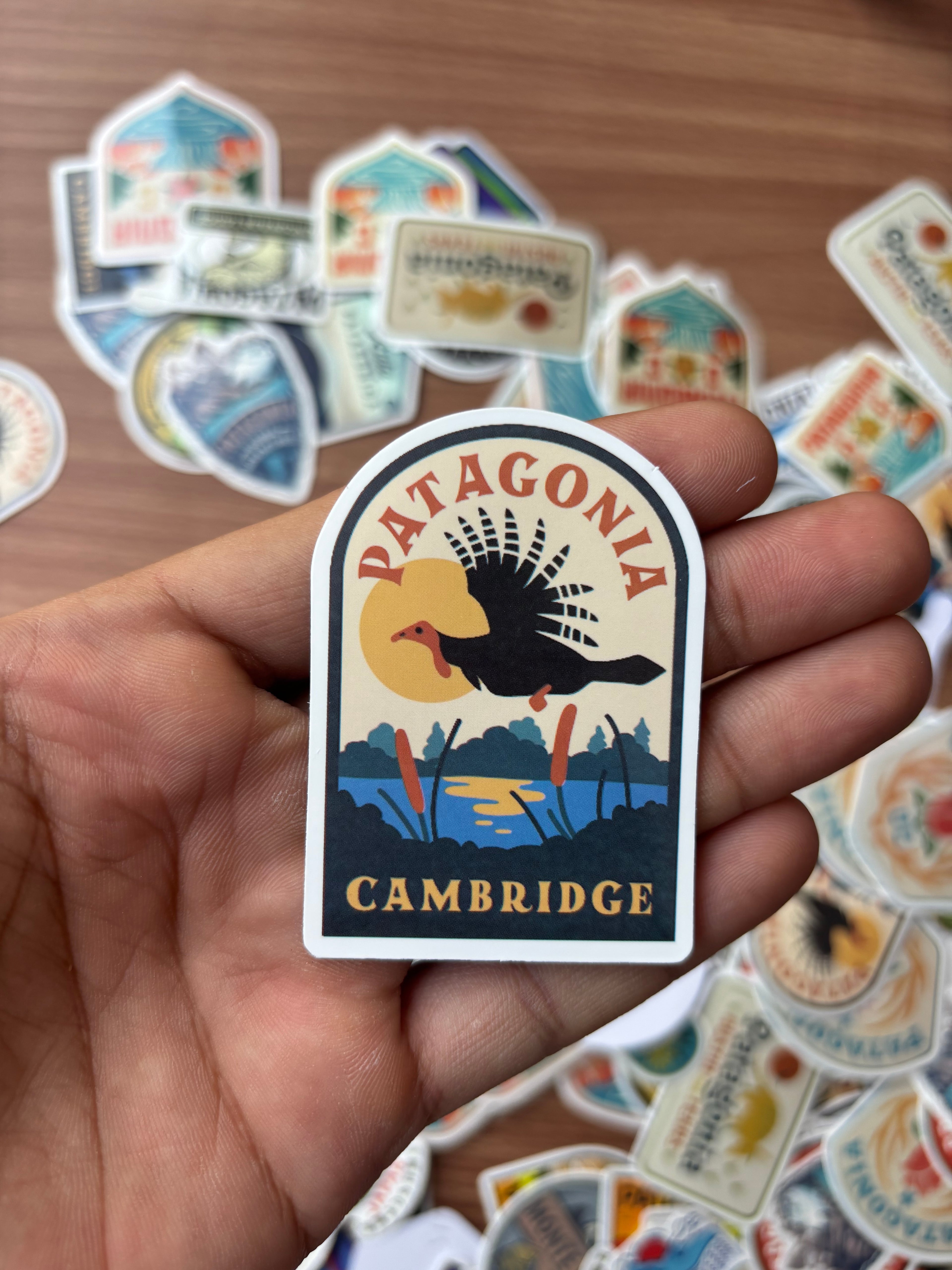 patagonia stickers