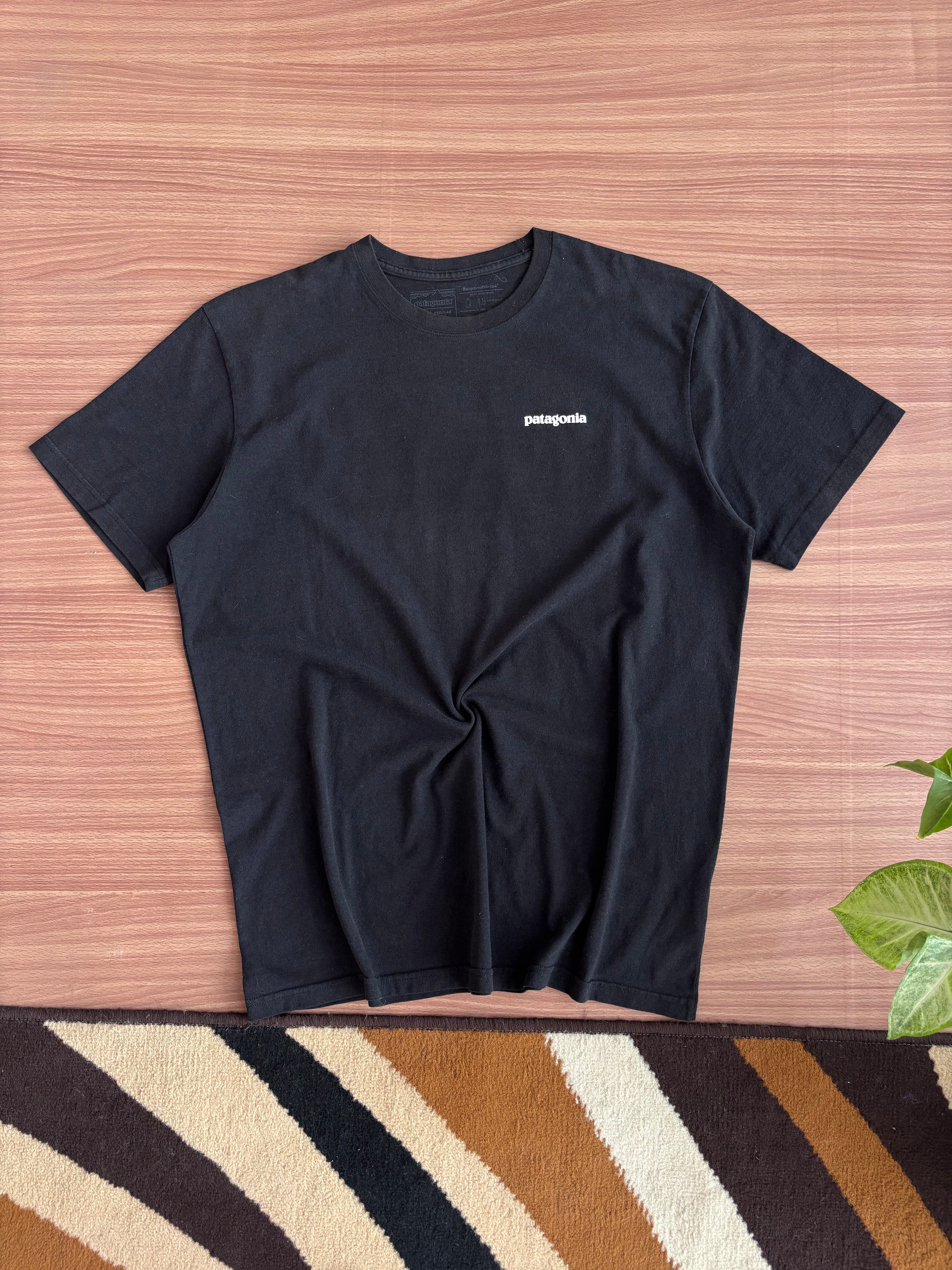 patagonia tee (M-L)