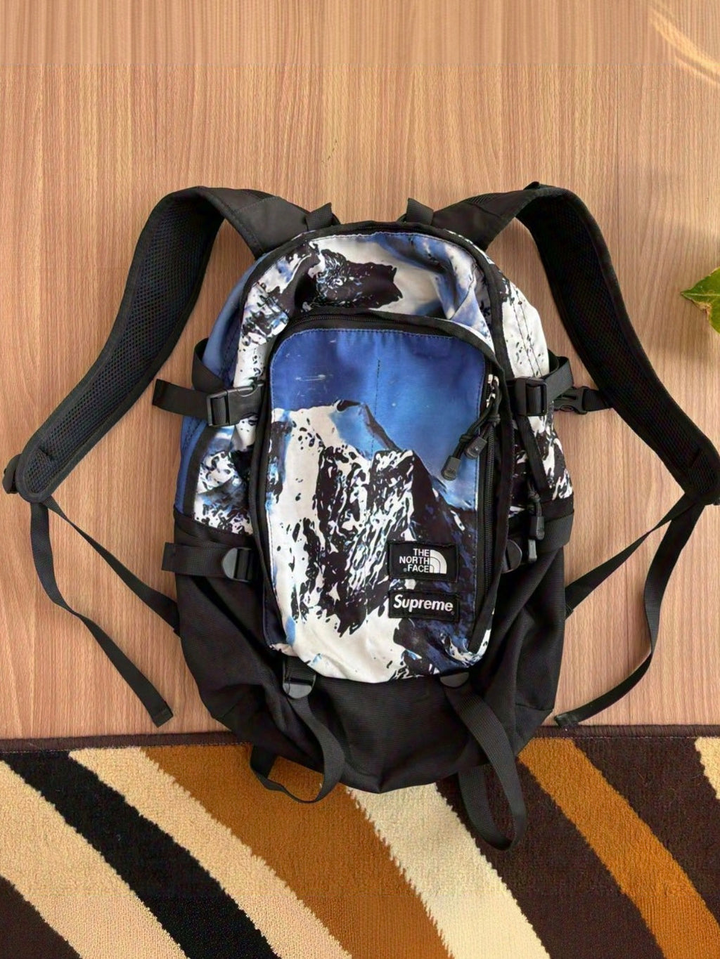 Supreme x The north face bagpack