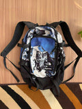 Supreme x The north face bagpack
