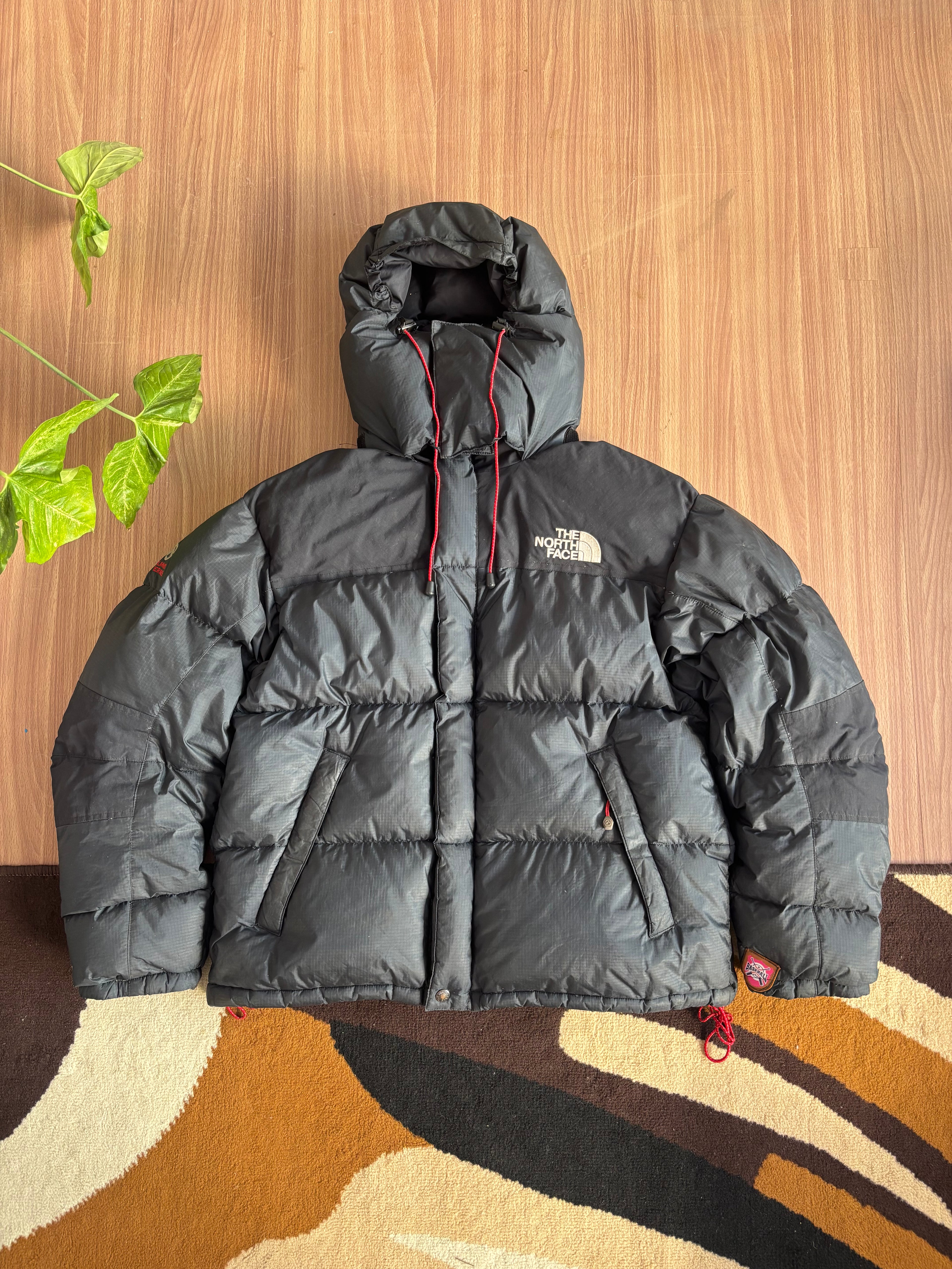 the north face summit series baltoro 700 down jacket