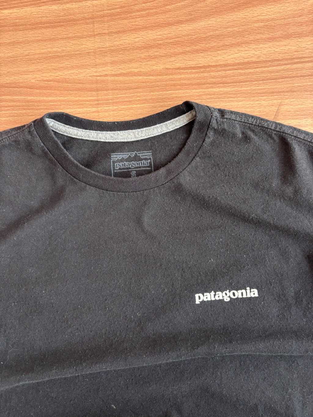 patagonia tee (M)