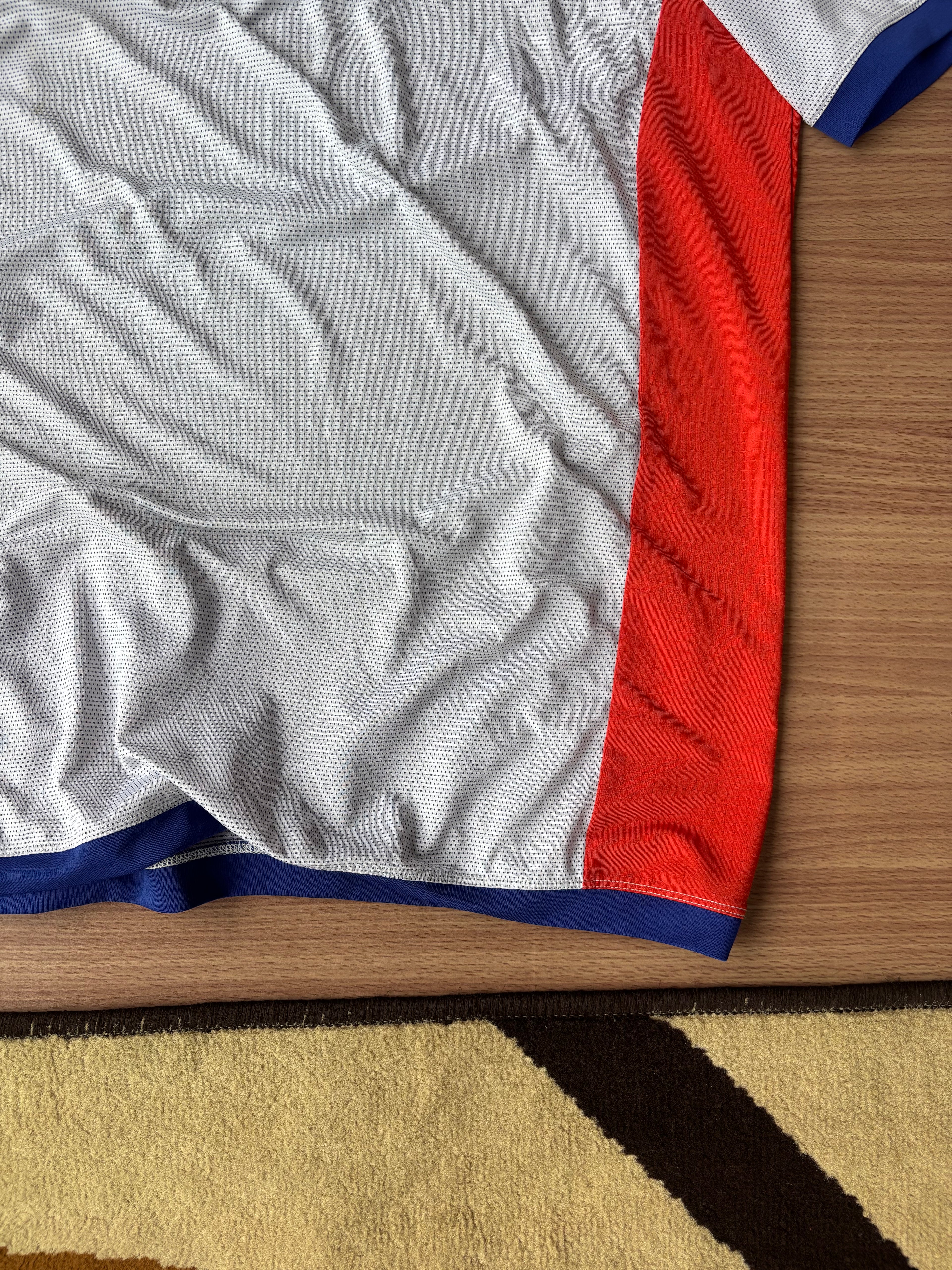 Millet Alpine Team tee (L)