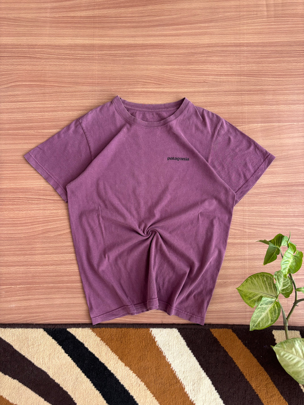 Patagonia Tee (s)