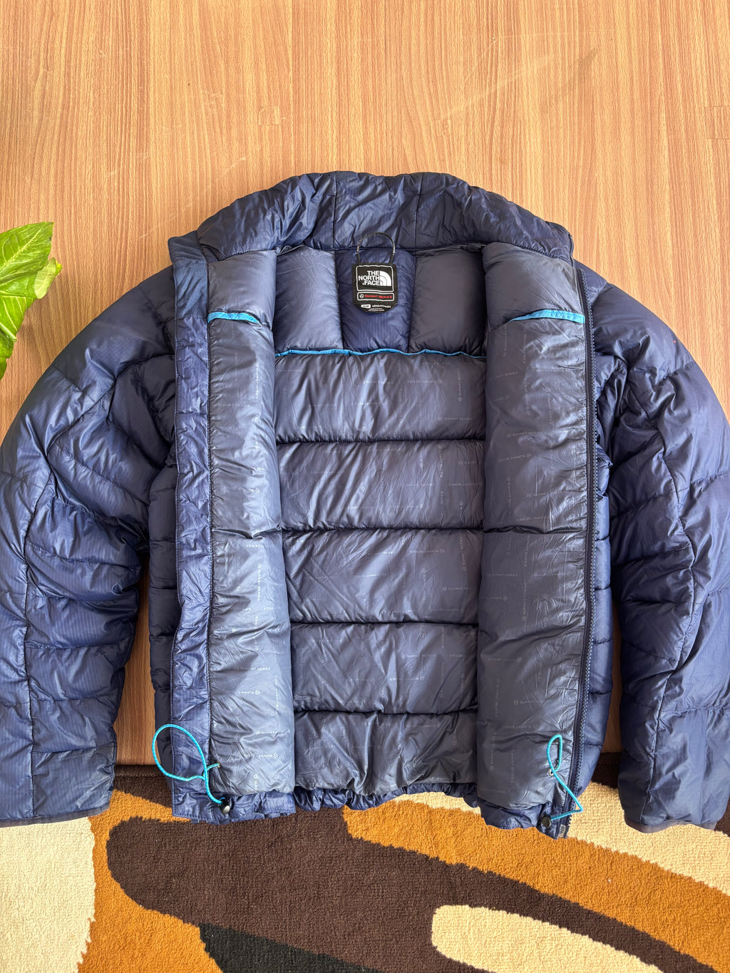 TNF summit series goose down puffer (M-L)