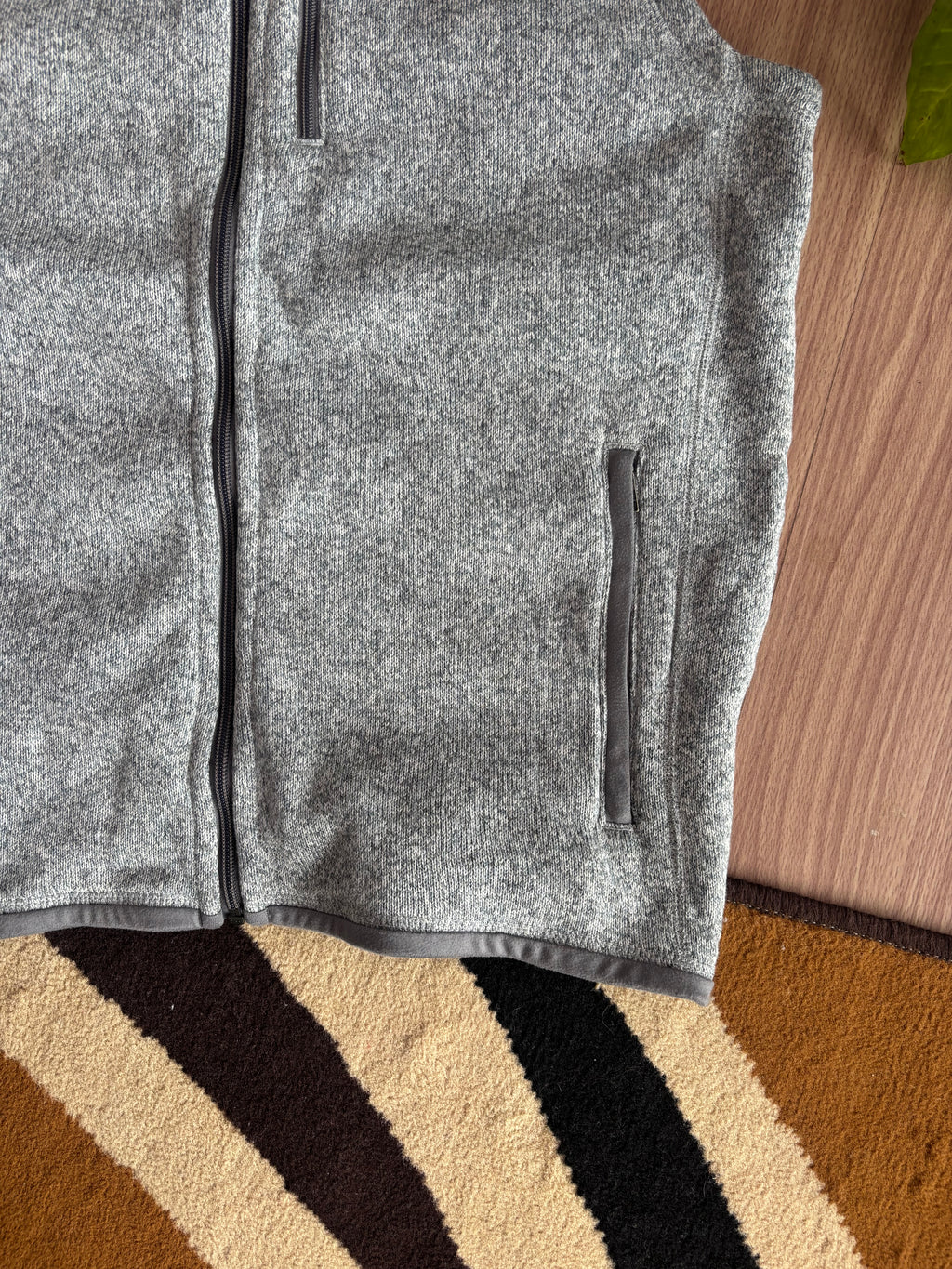FA 19 Patagonia Fleece Vest