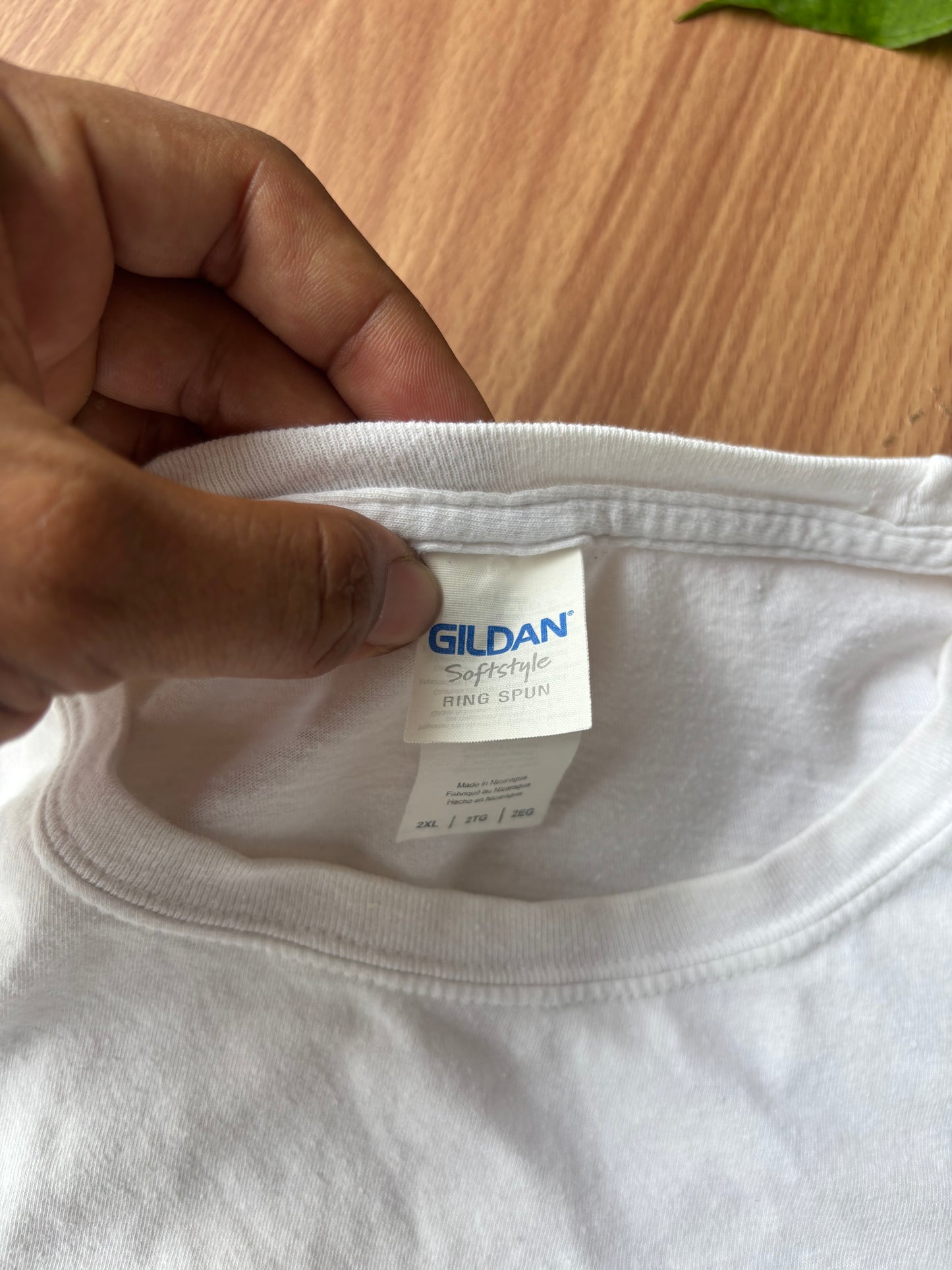 Gildan dinosaur tee