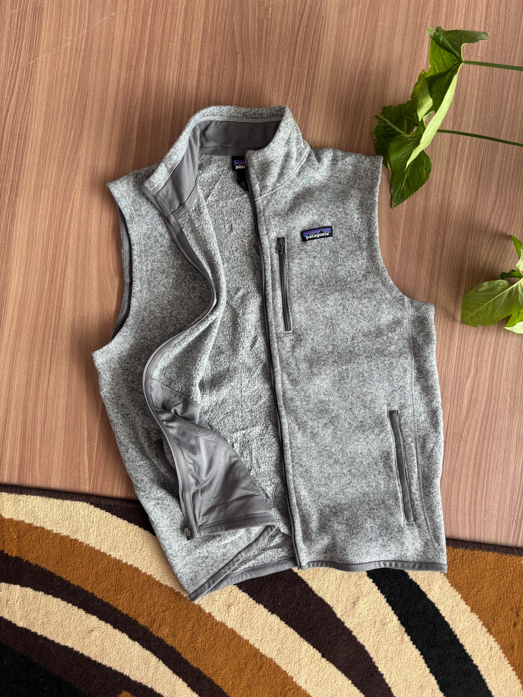 FA 19 Patagonia Fleece Vest