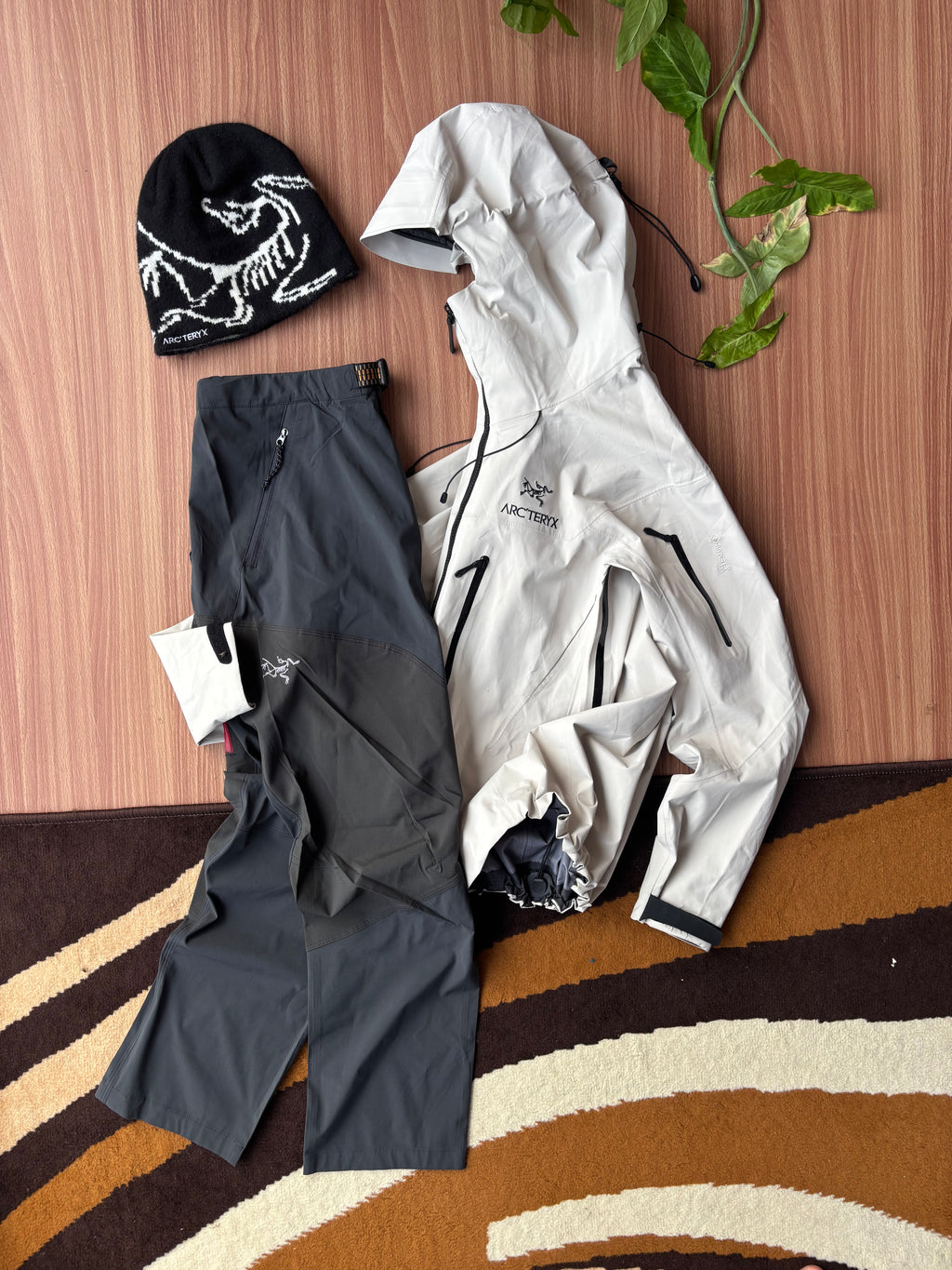 Arcteryx alpha AR