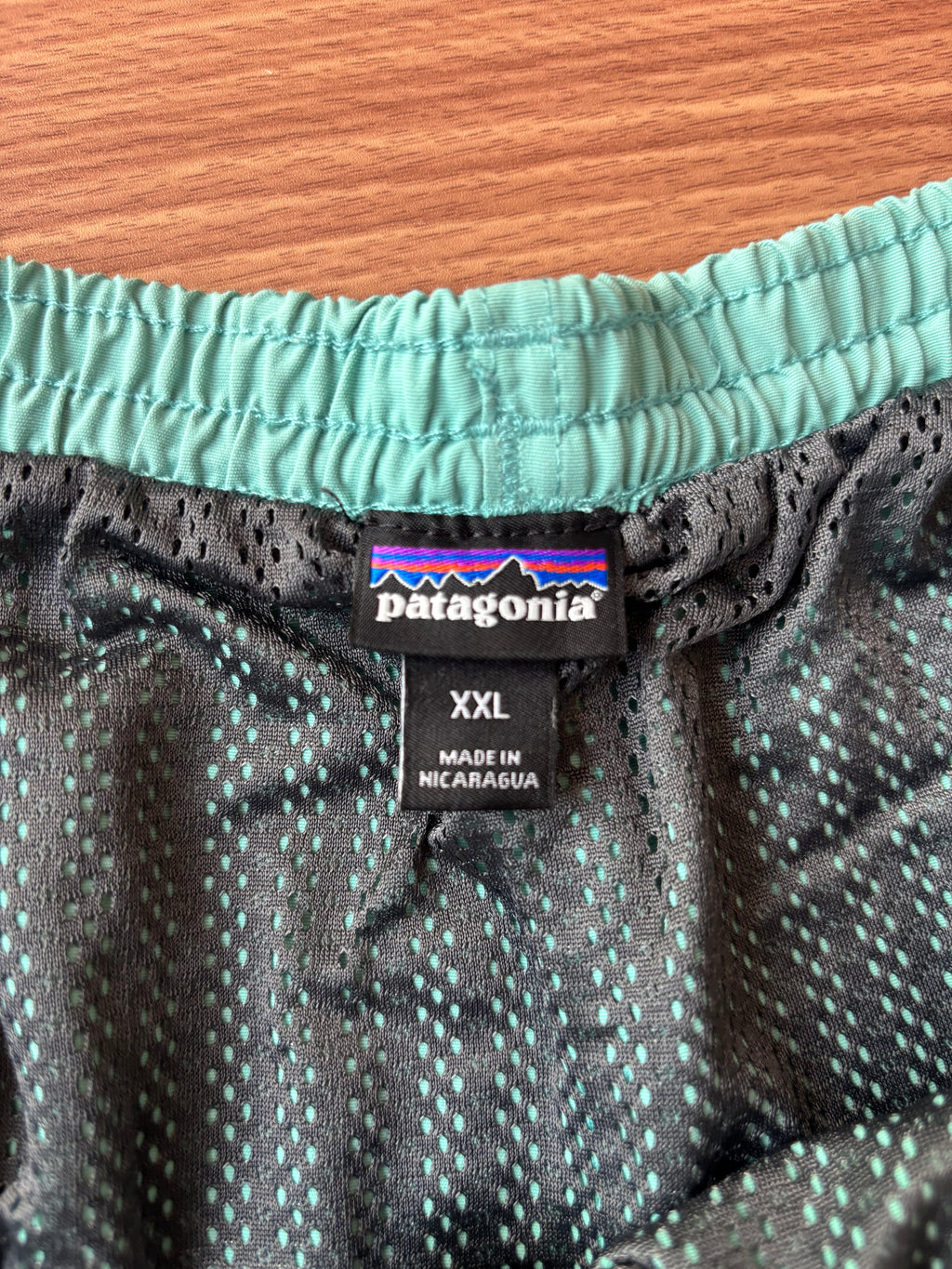 Patagonia turquoise shorts