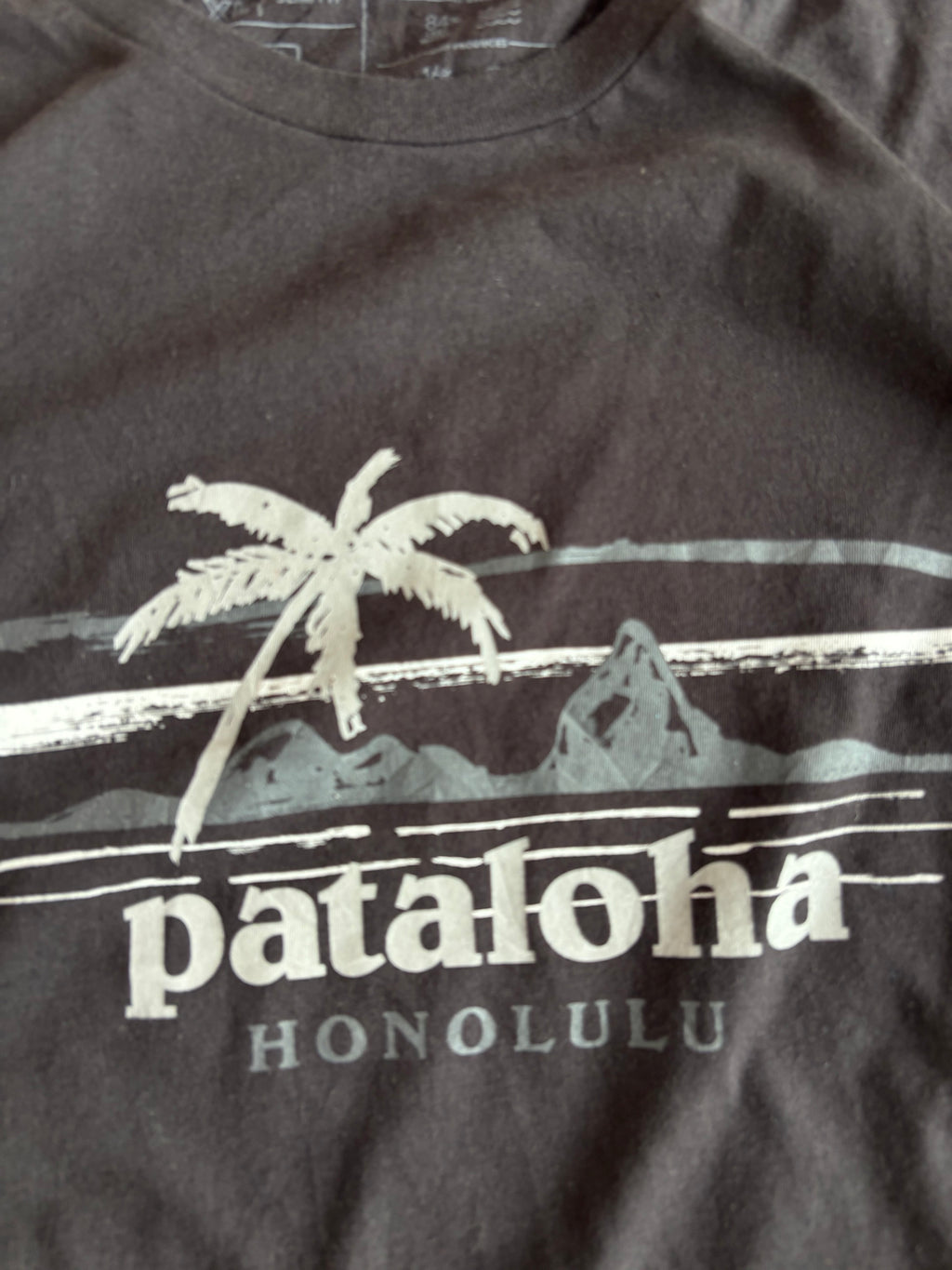 patagonia tee (L-XL)