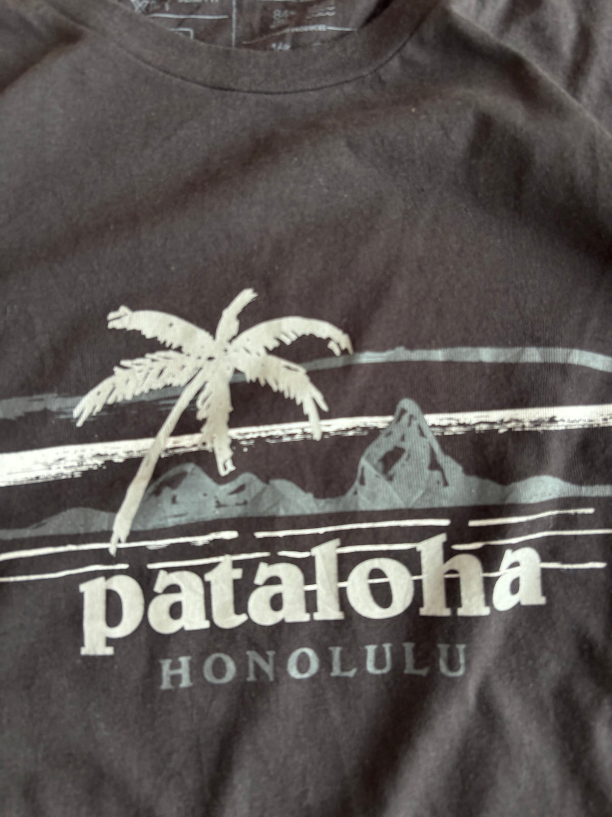 patagonia tee (L-XL)