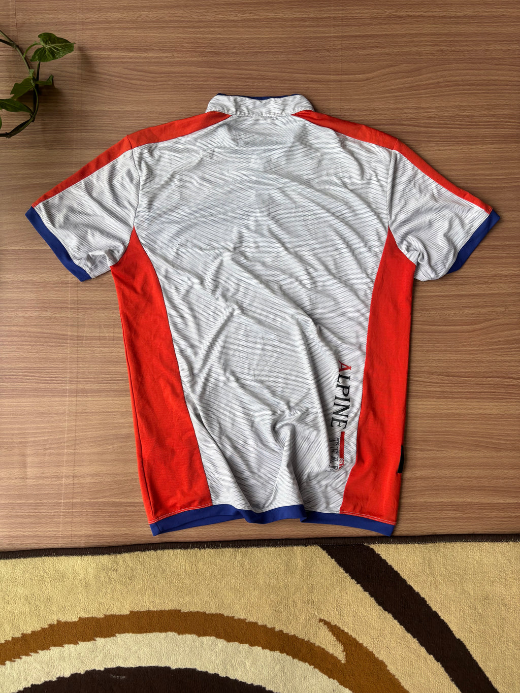 Millet Alpine Team tee (L)