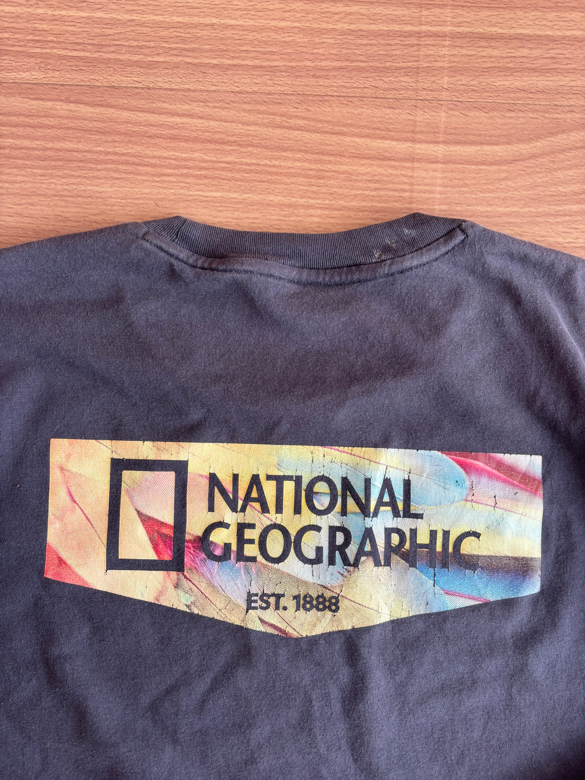 Nat Geo tee (L)