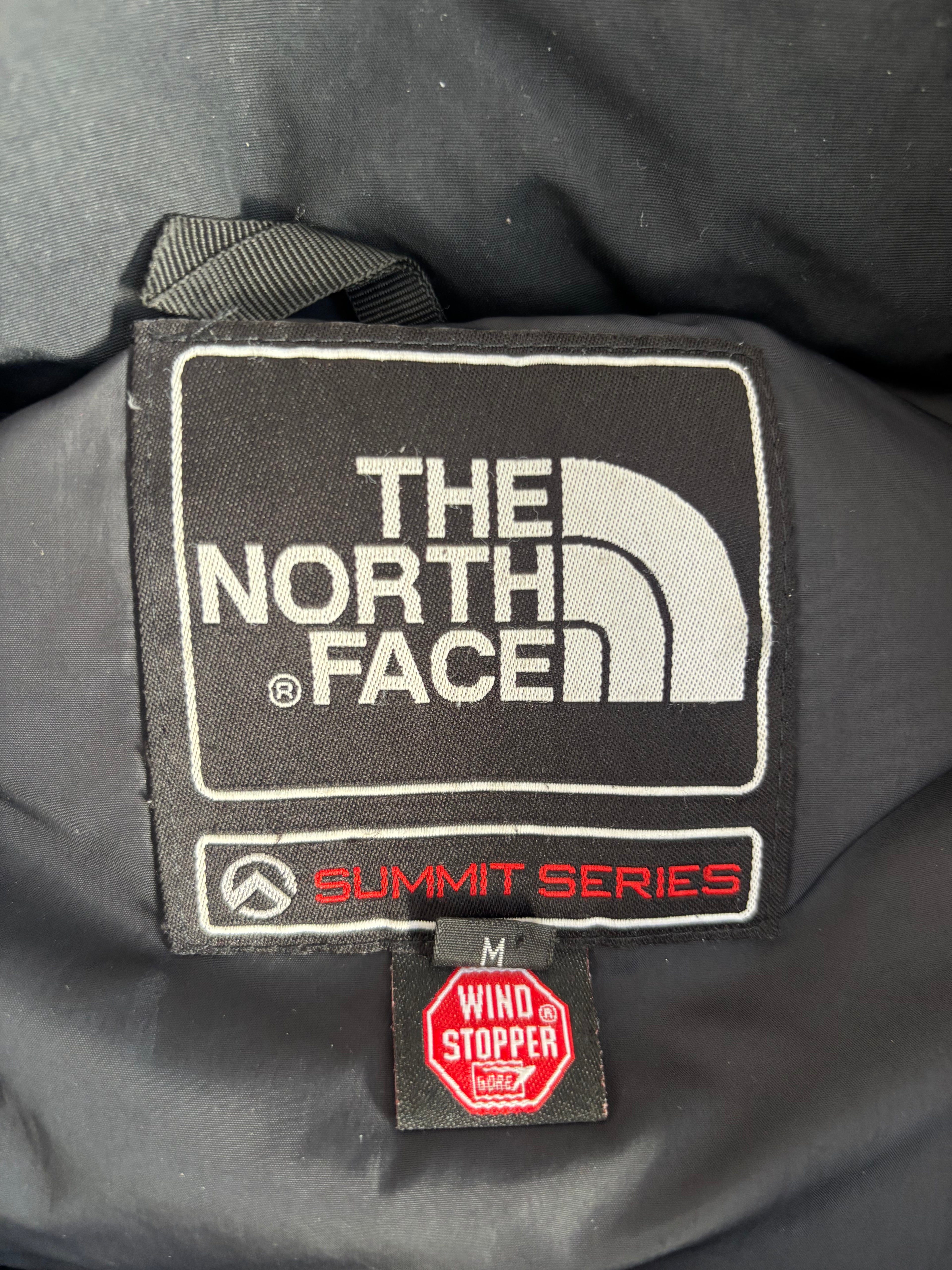 the north face summit series baltoro 700 down jacket