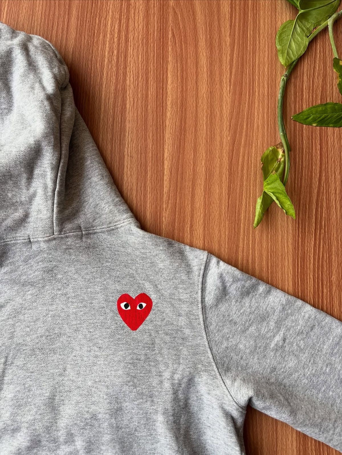 TNF x CDG authentic hoodie