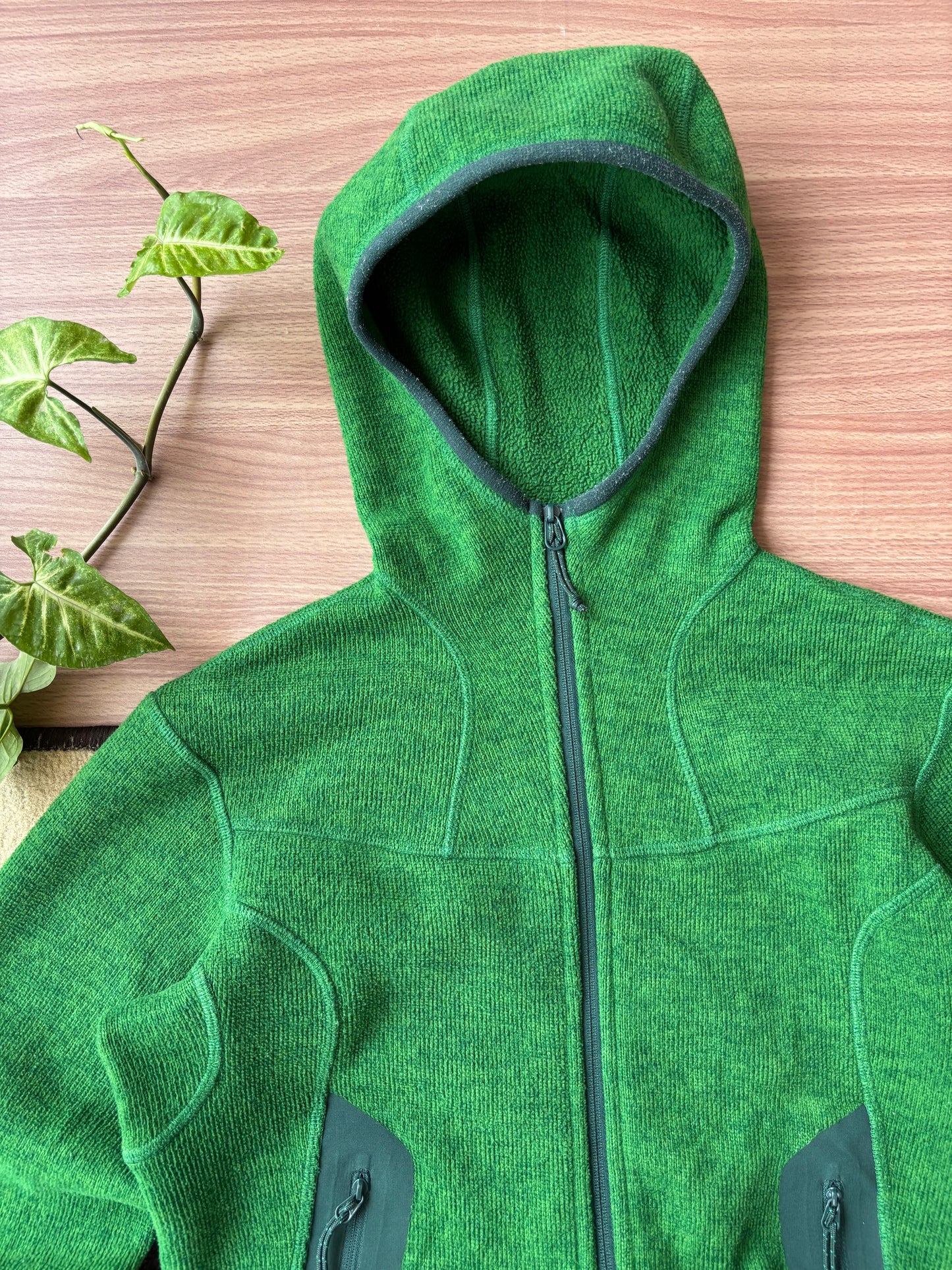 Arc'teryx Hooded Fleece