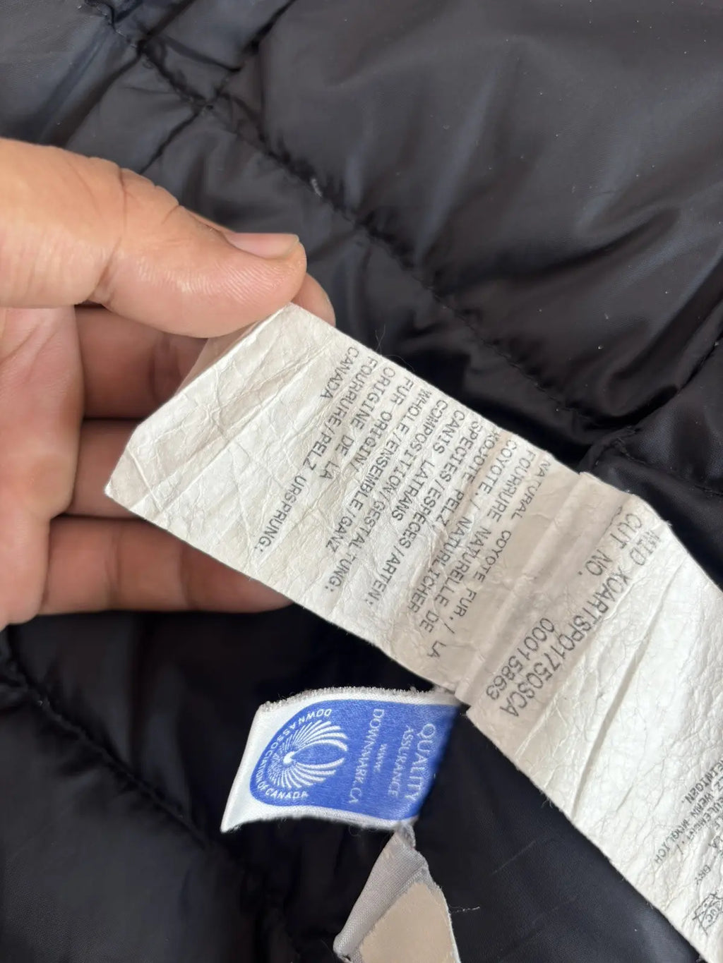 Canada Goose Kensington Parka Graphite