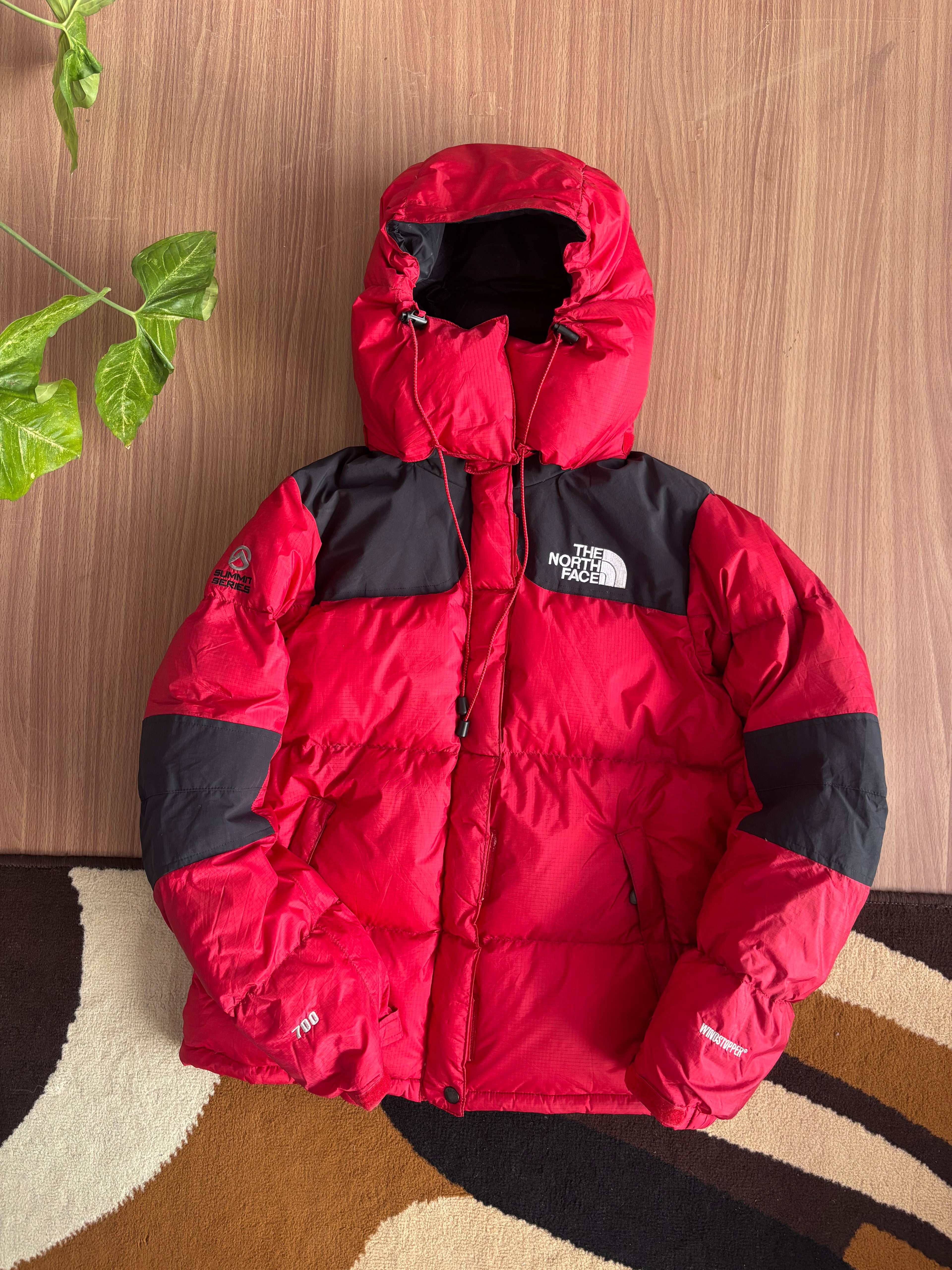the north face summit series baltoro 700 down jacket (M)