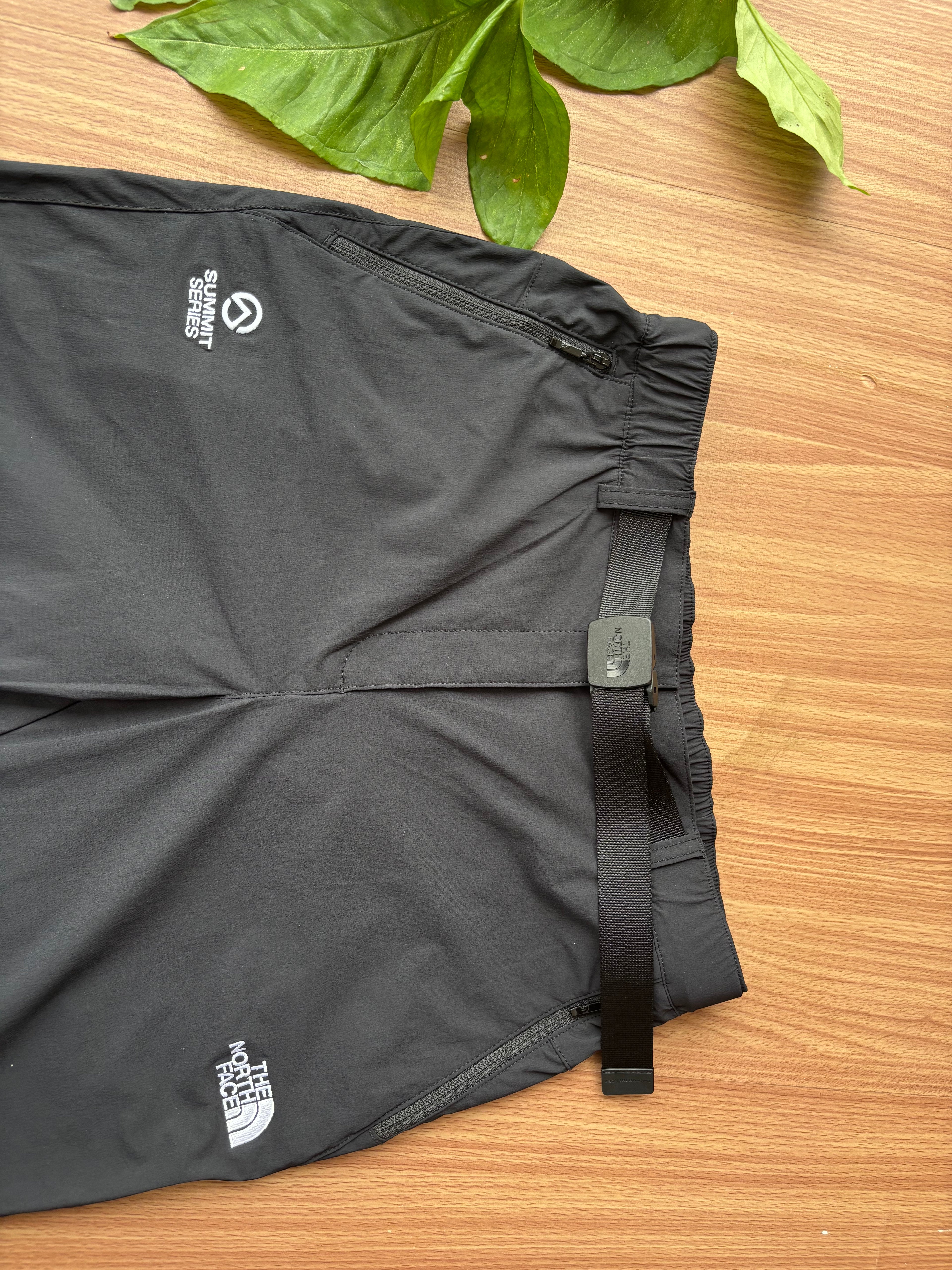 TNF summit series shell pants