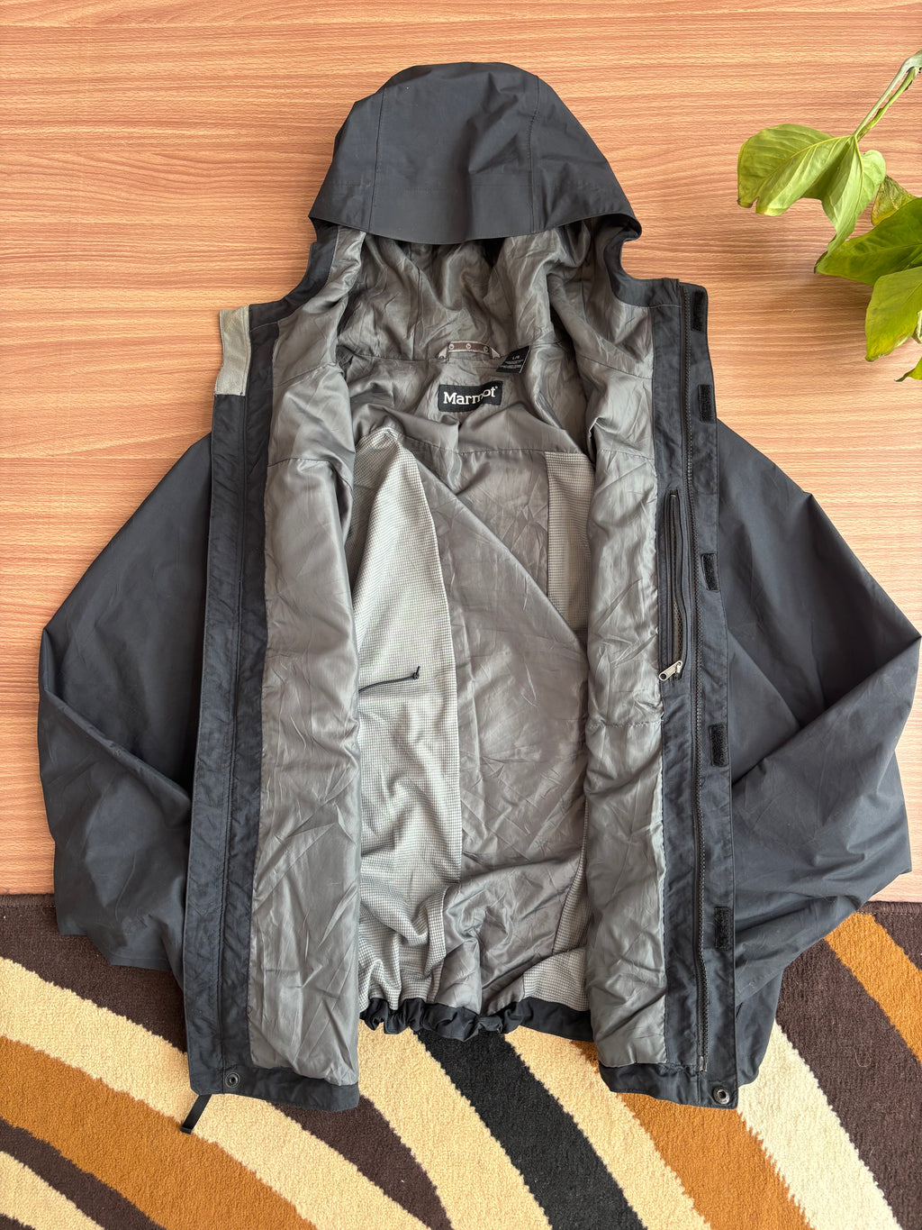 Marmot shell
