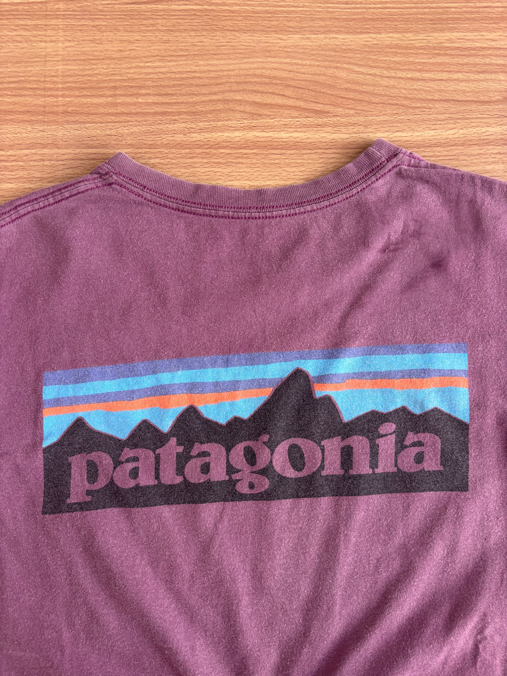 Patagonia Tee (s)