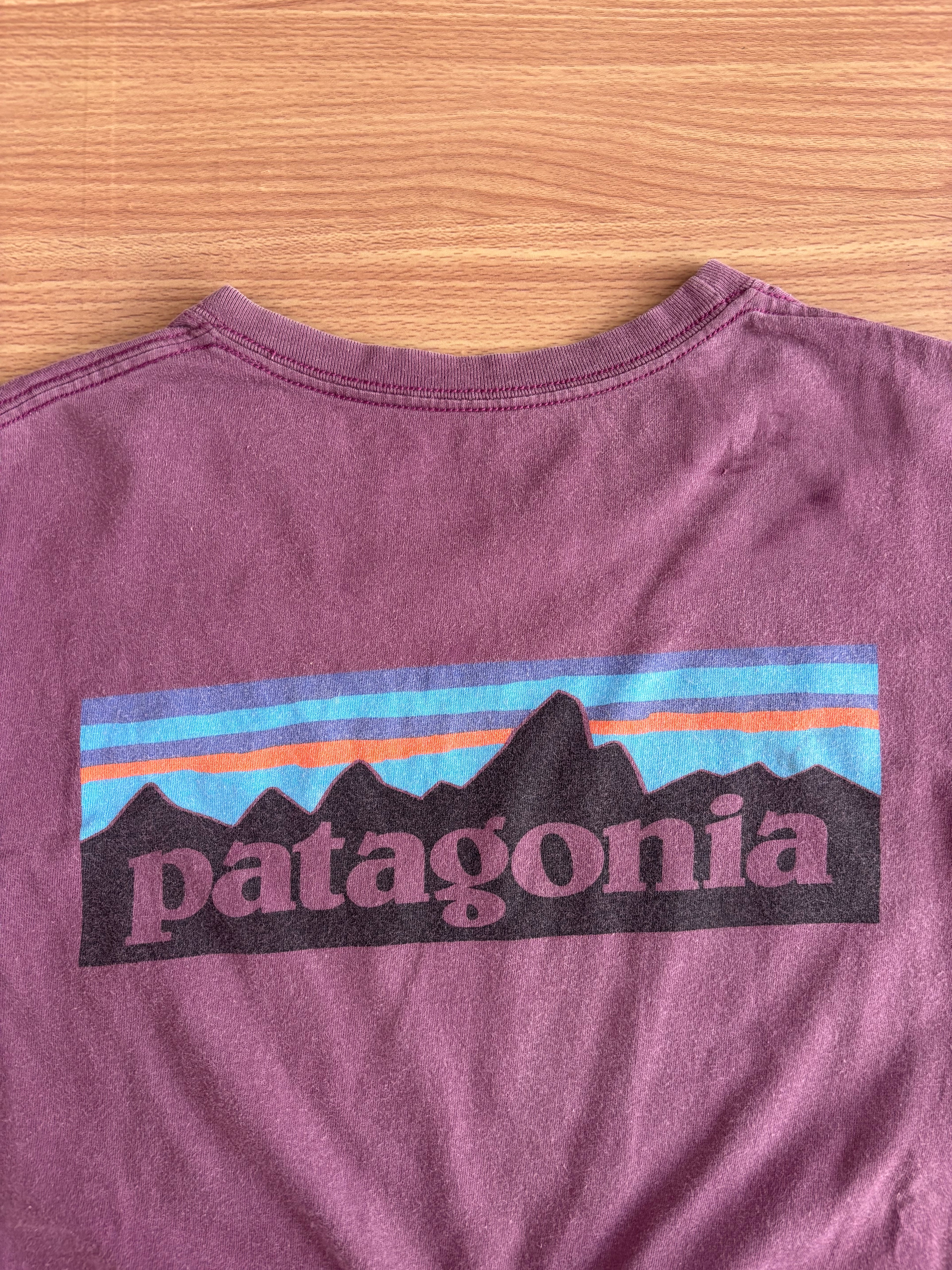 Patagonia Tee (s)