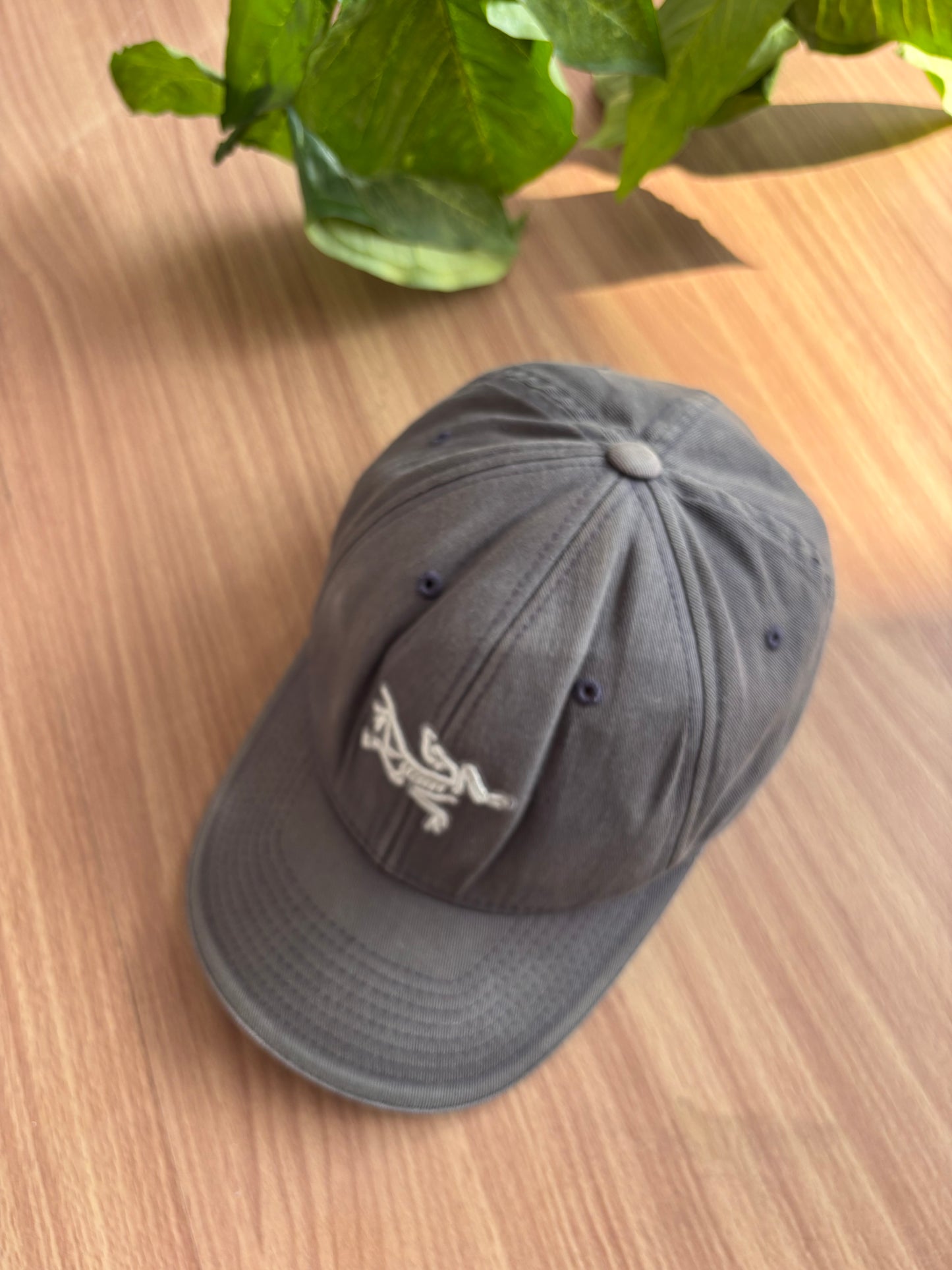 Arcteryx cap