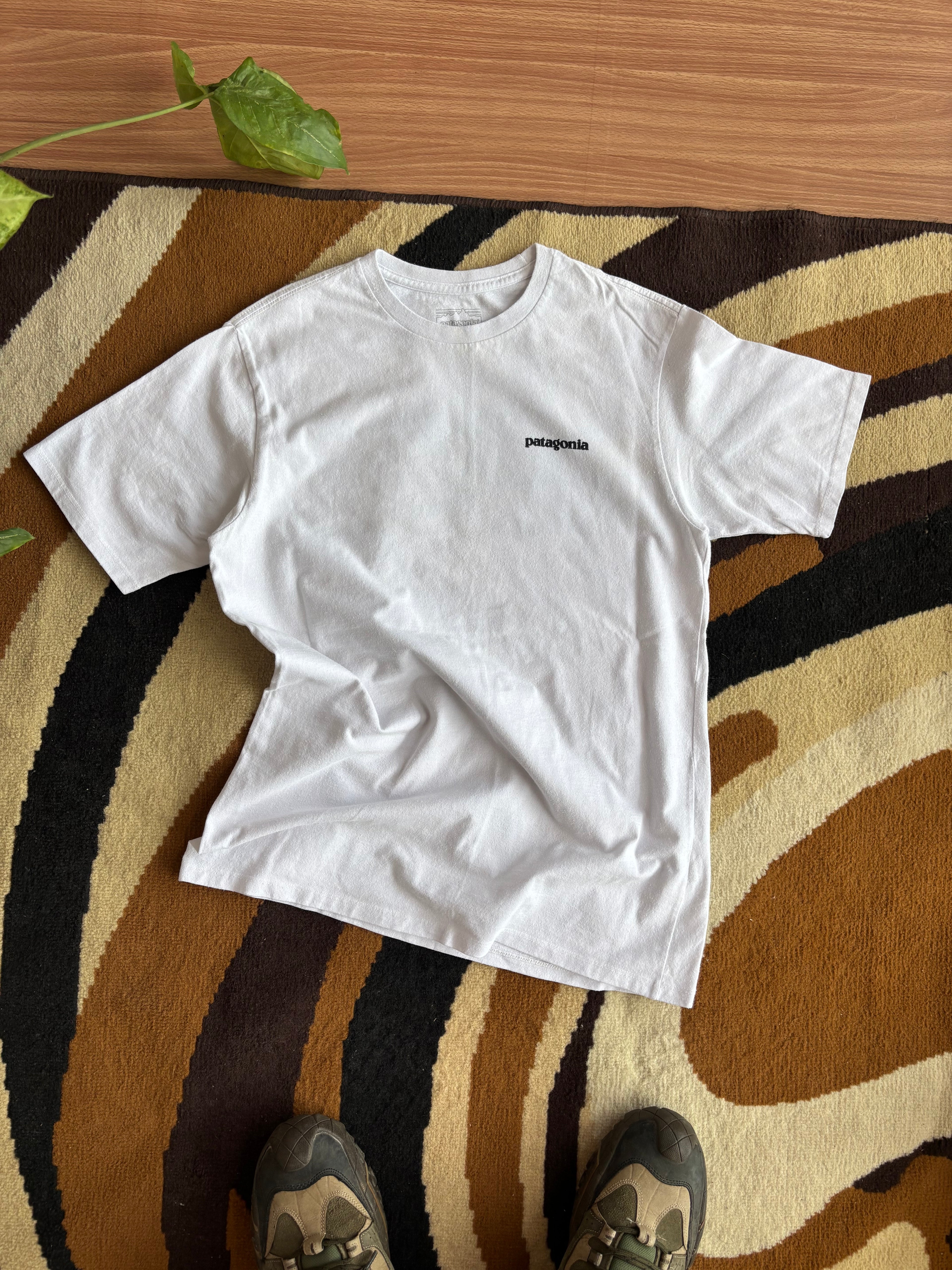 Patagonia tee