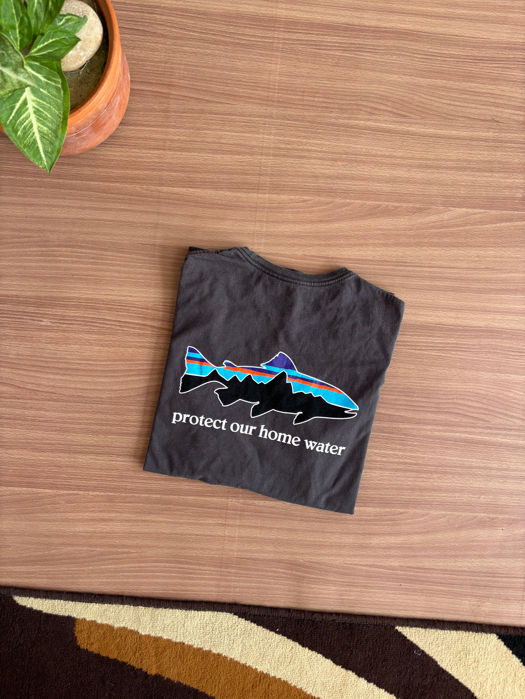Patagonia tee