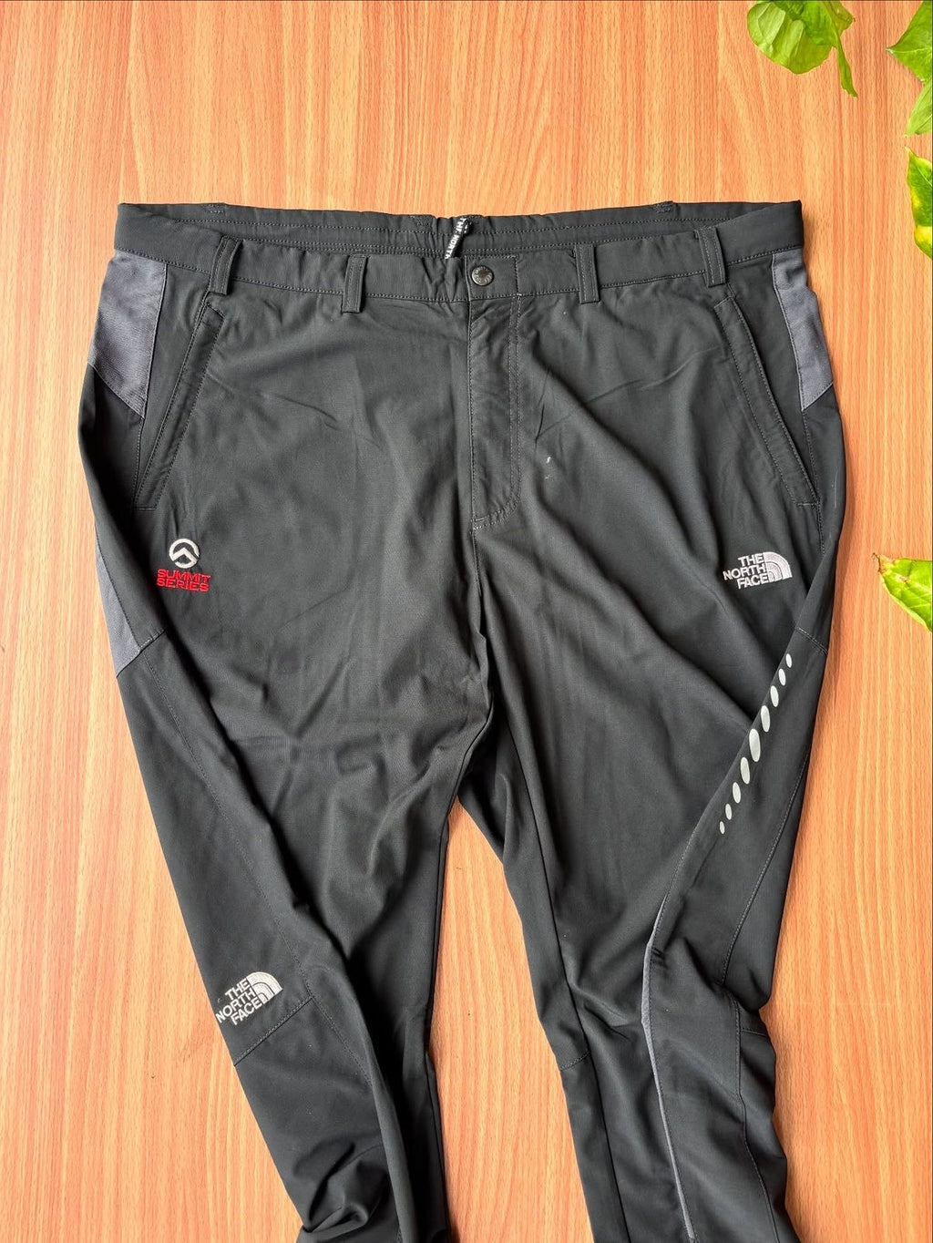 TNF SUMMIT SERIES Shell pants