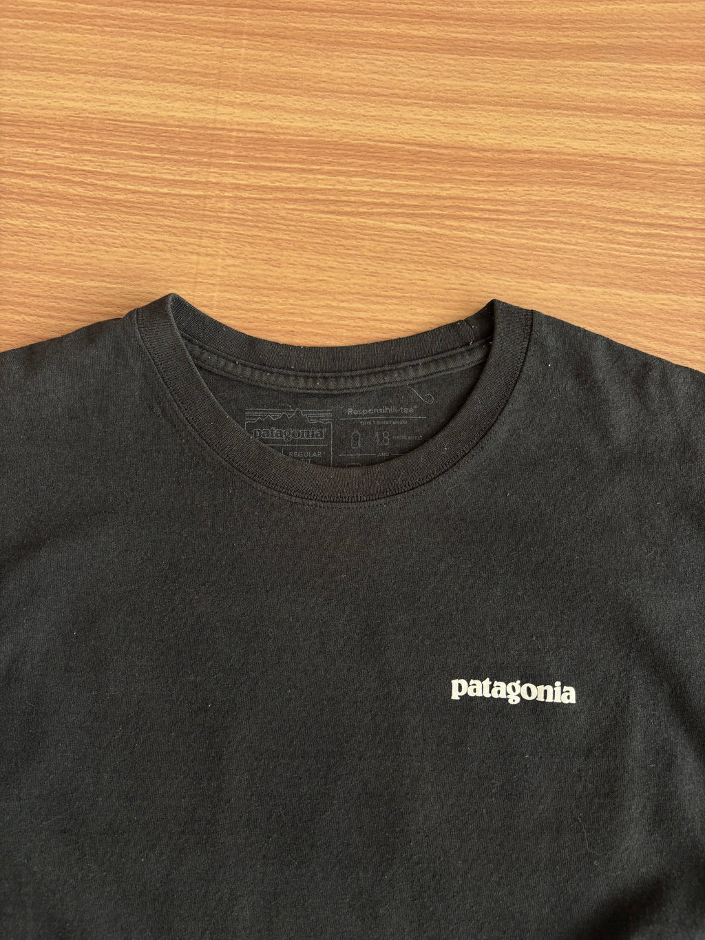 patagonia tee (M-L)