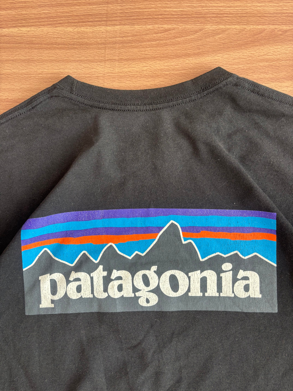 Patagonia tee (M)