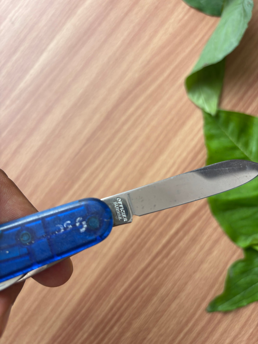 Victorinox Spartan og knife