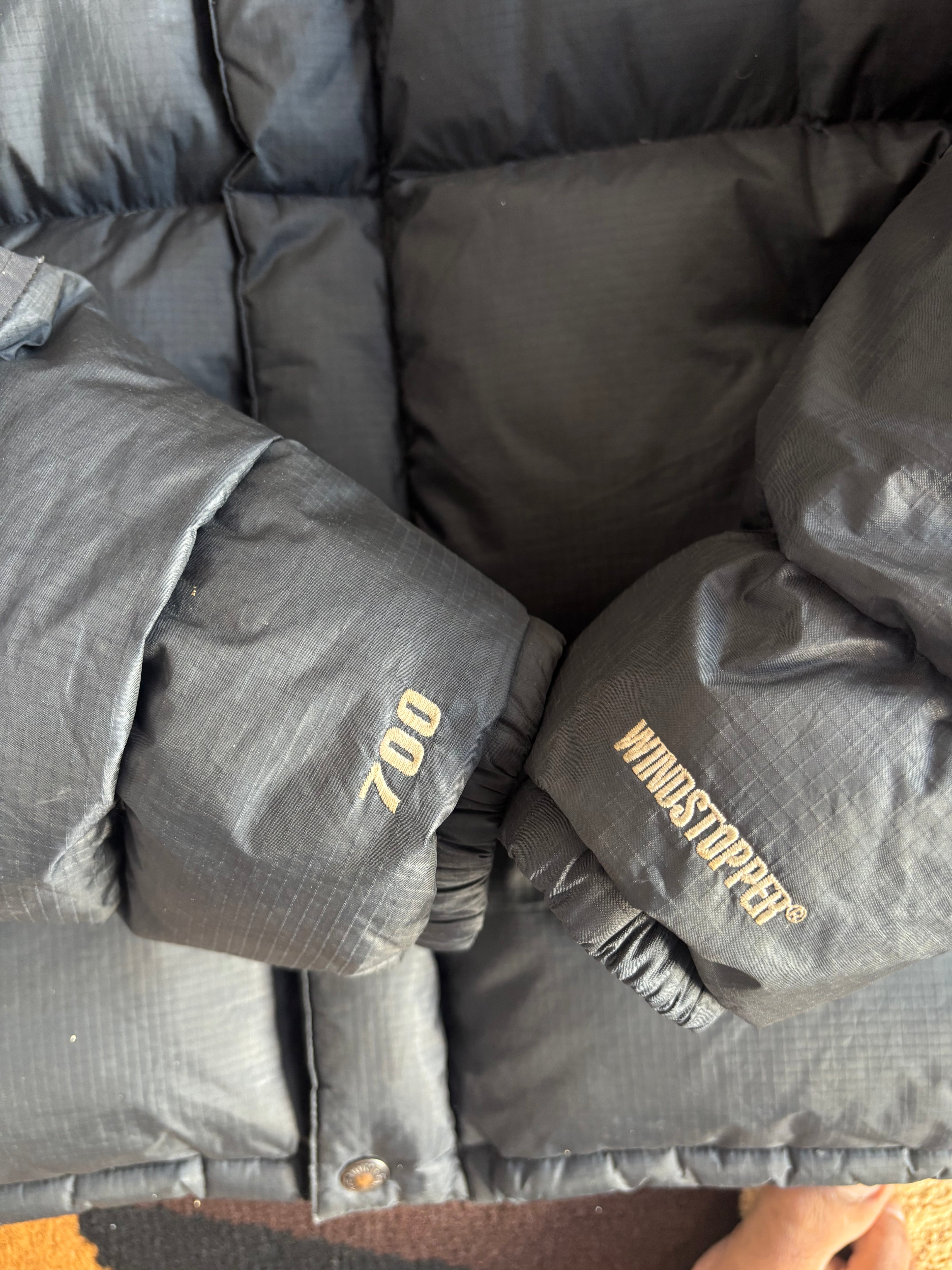 the north face summit series baltoro 700 down jacket