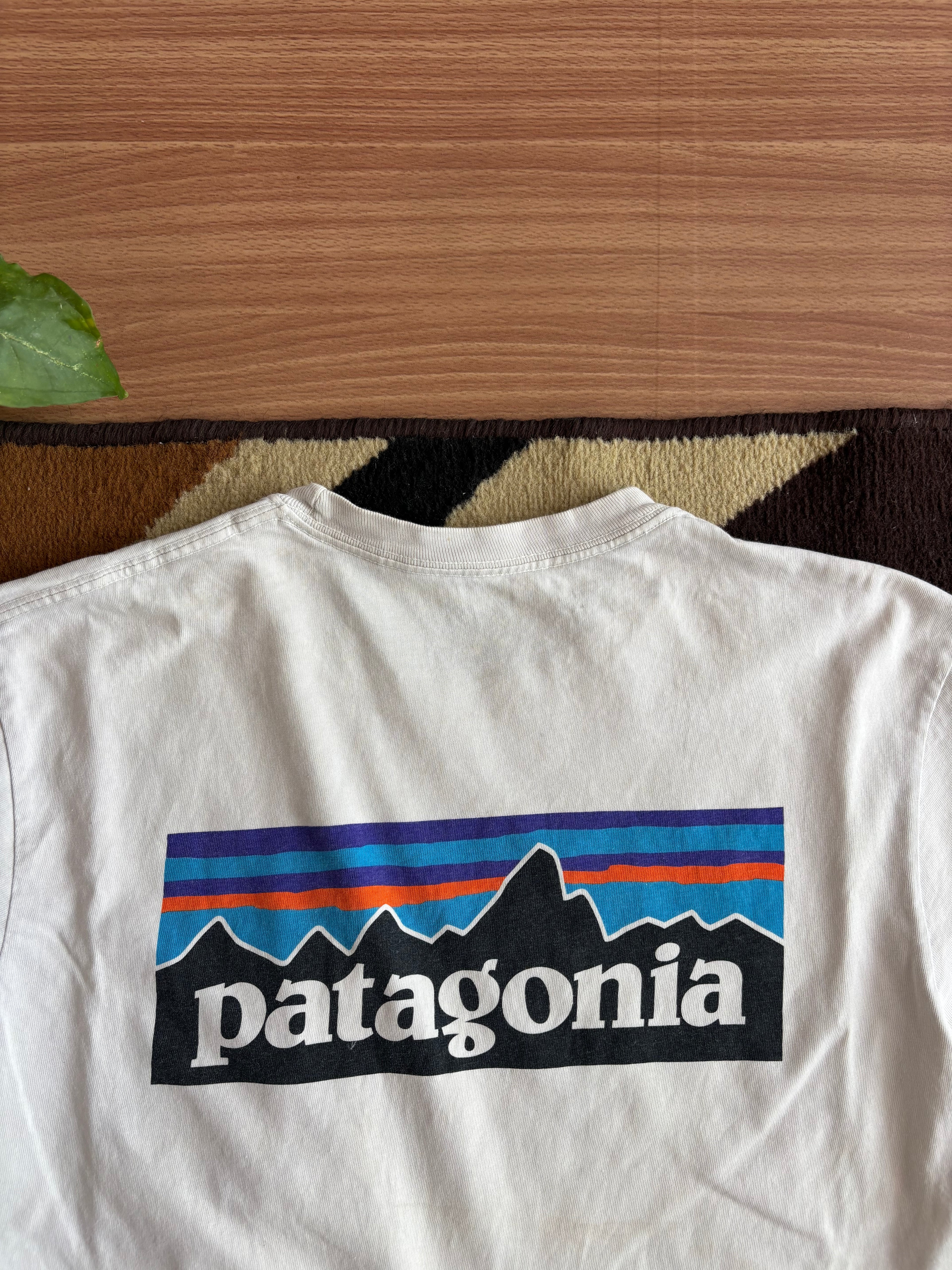Patagonia tee