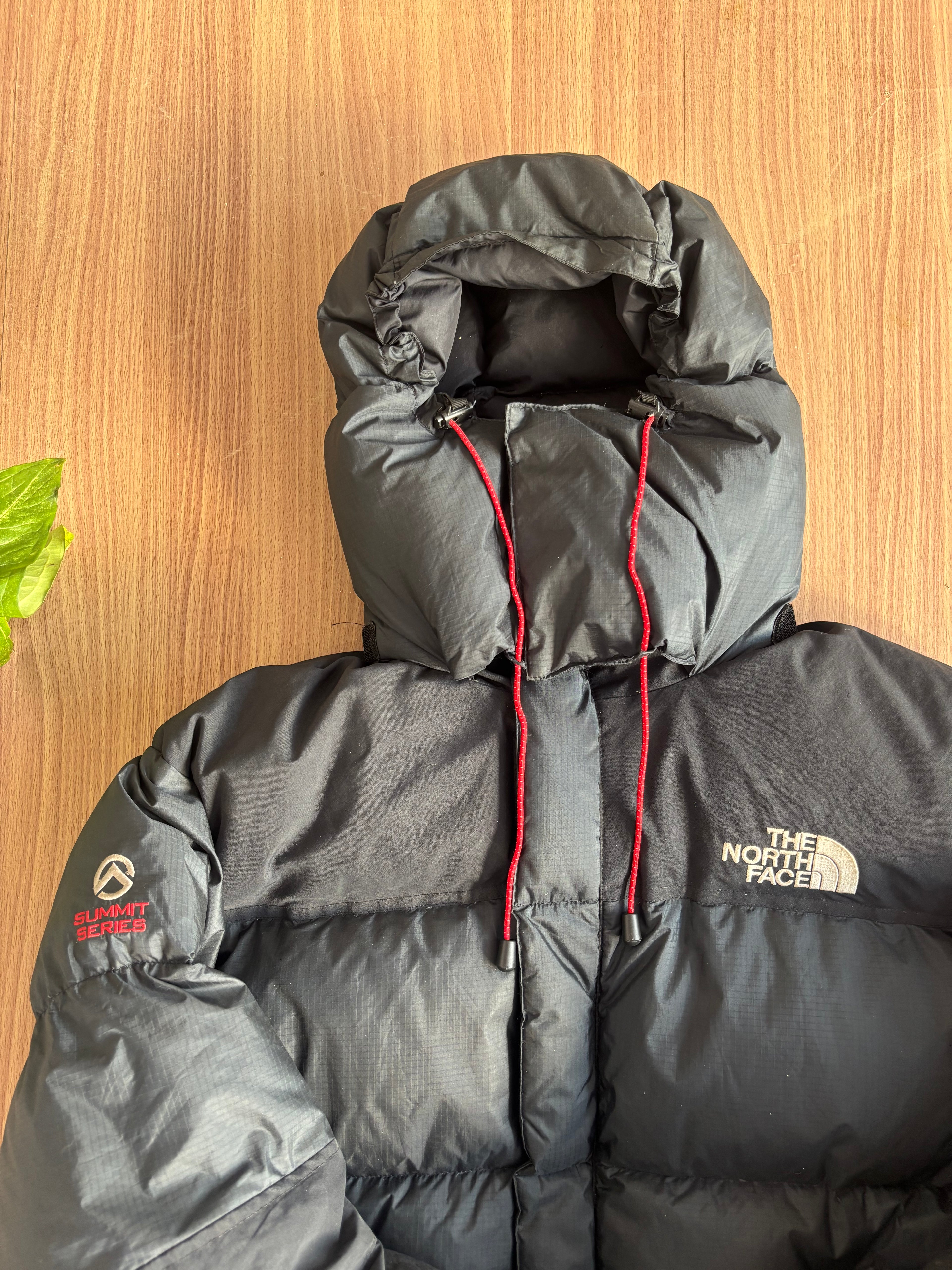 the north face summit series baltoro 700 down jacket