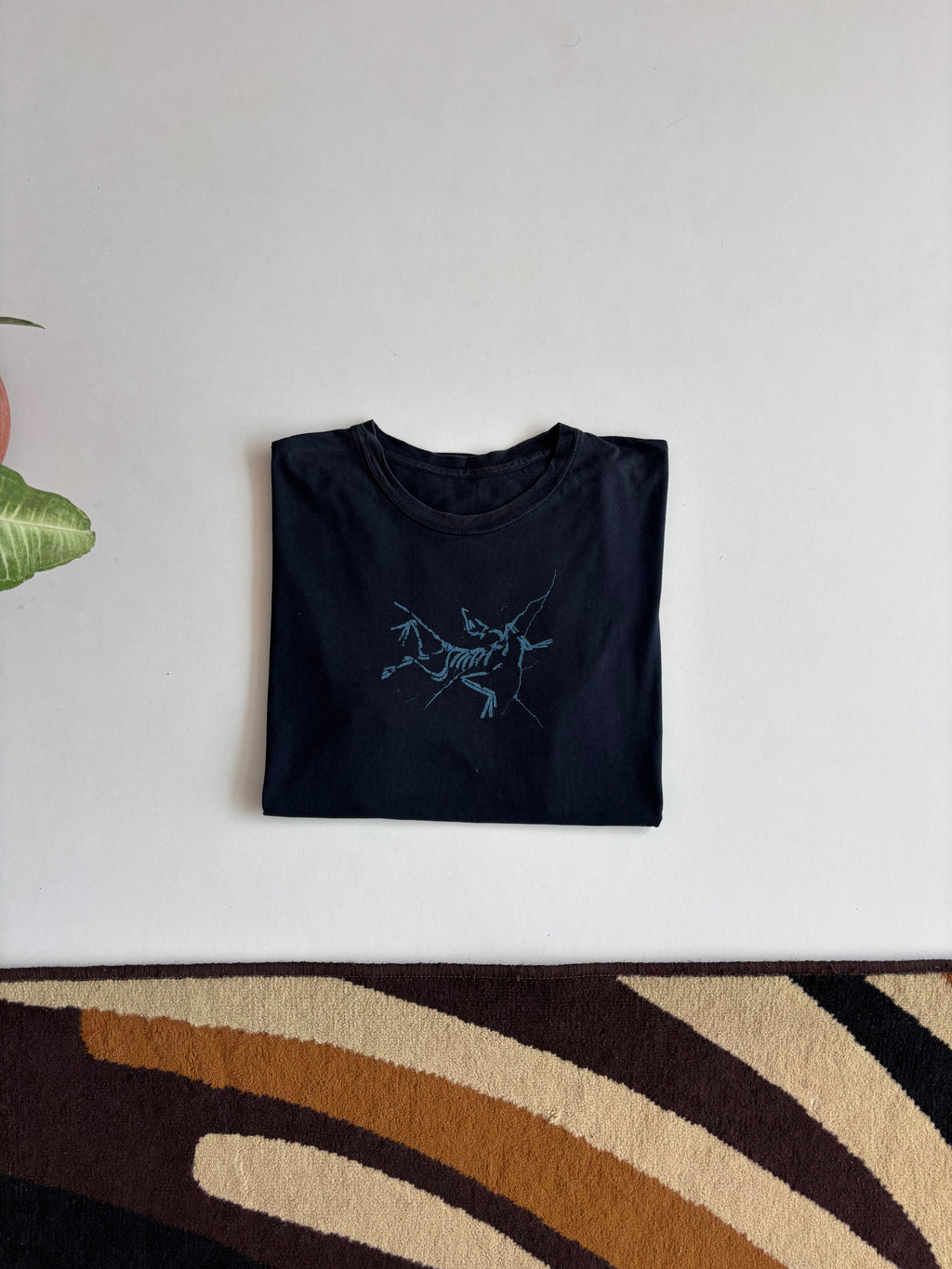 Arcteryx tee (M&L)