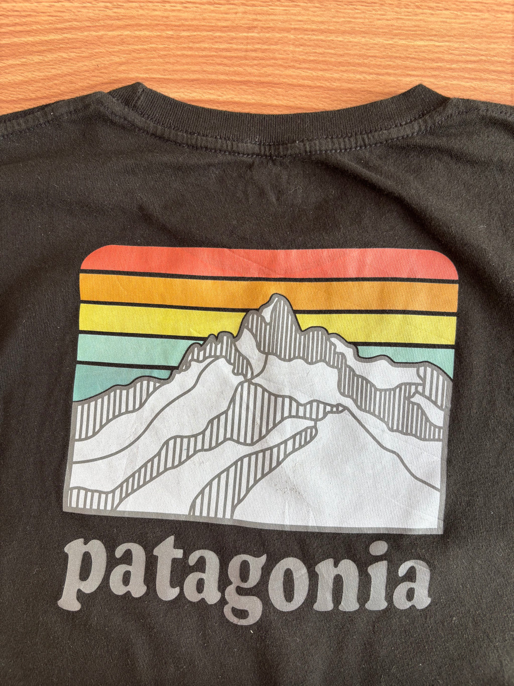 Patagonia tee