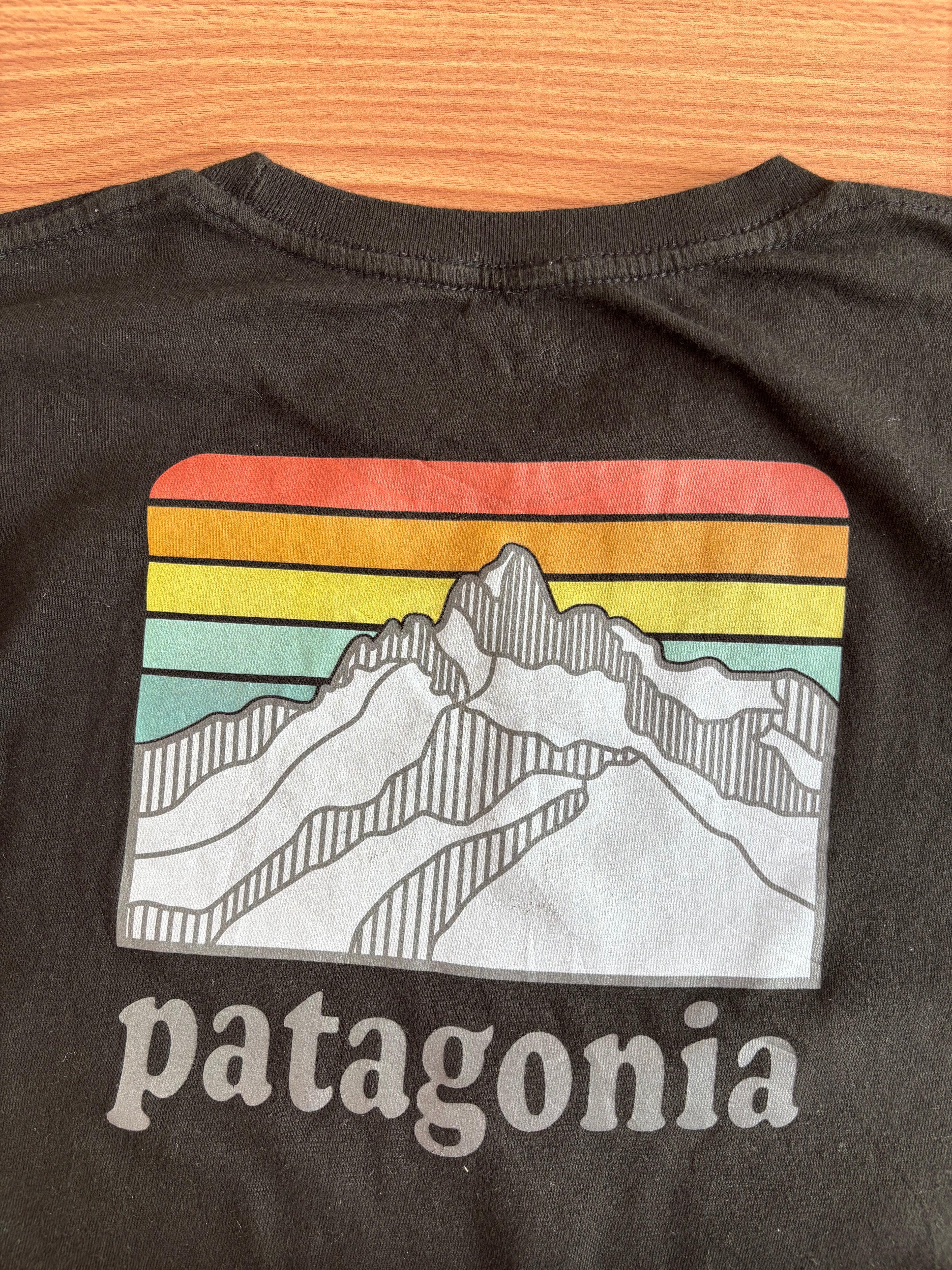 Patagonia tee