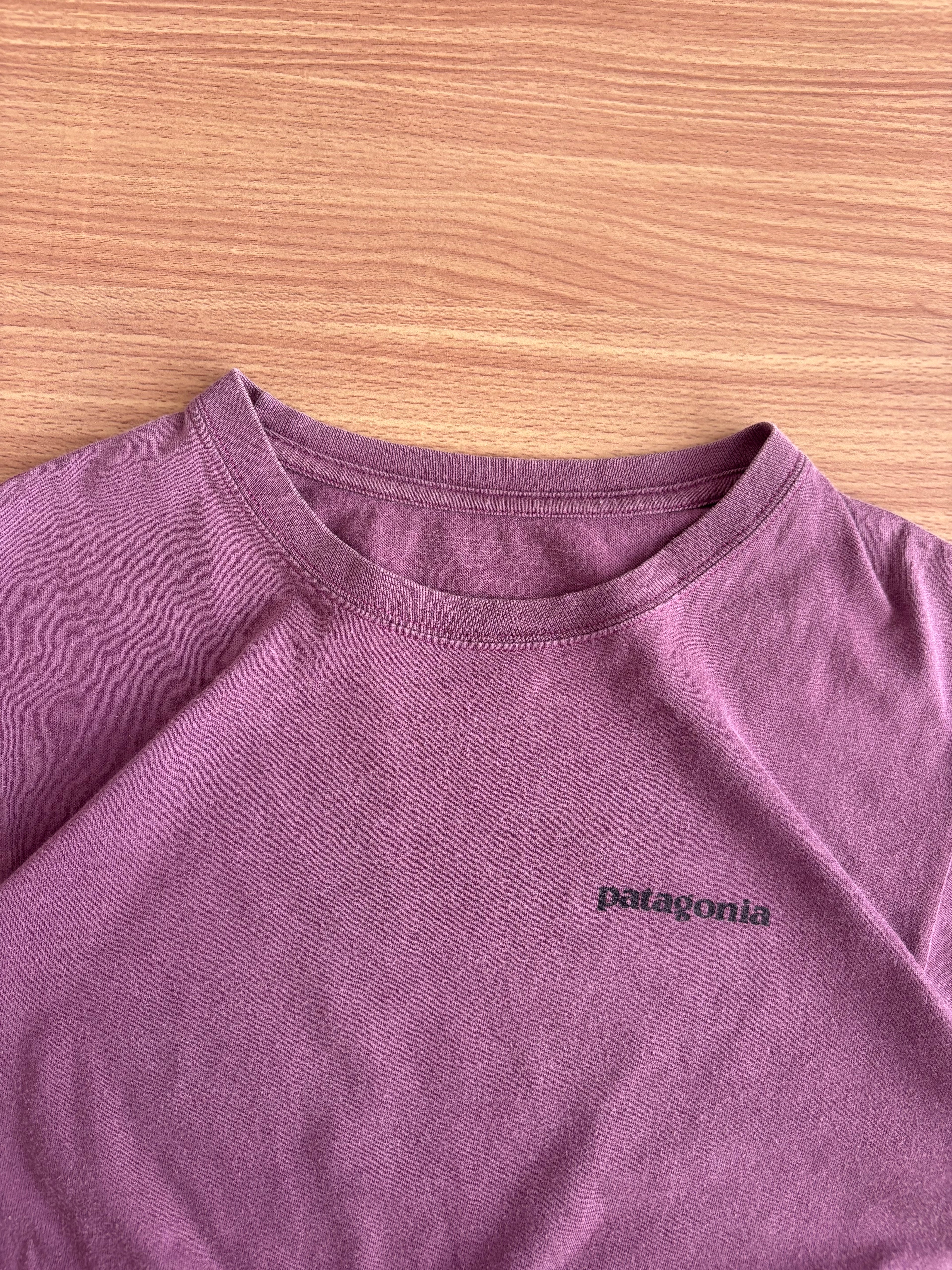 Patagonia Tee (s)