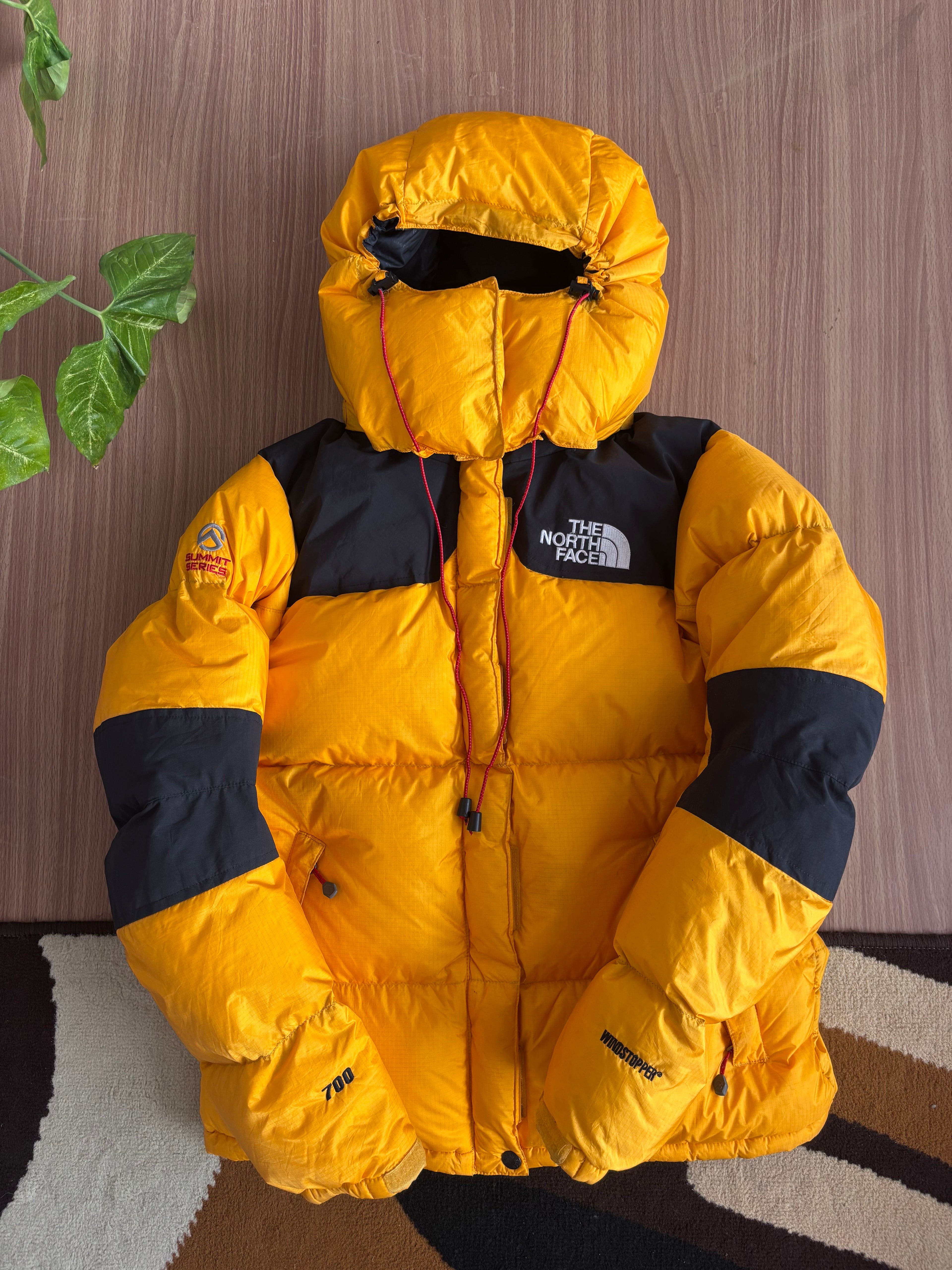 the north face summit series baltoro 700 down jacket (M)