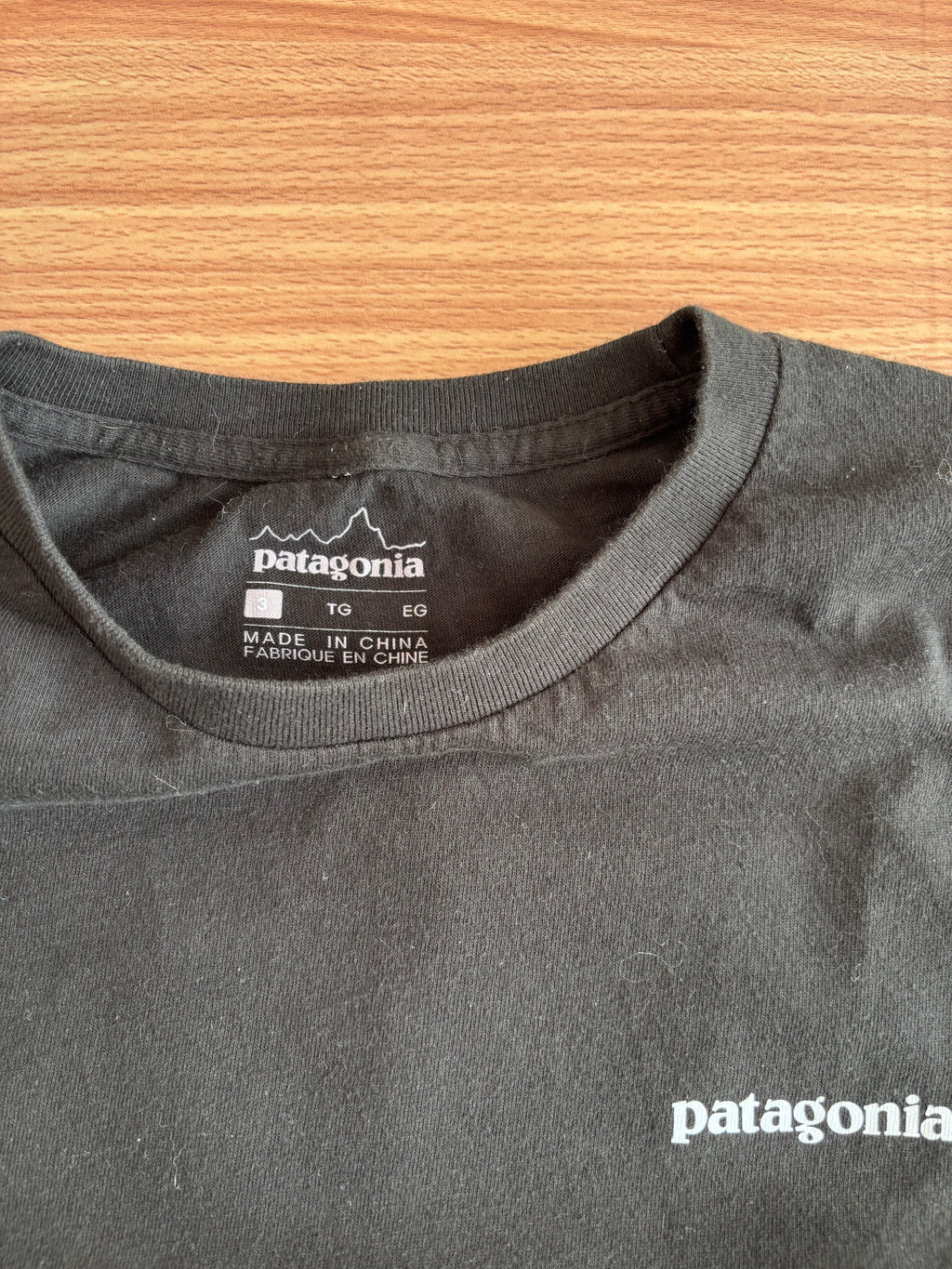 Patagonia tee