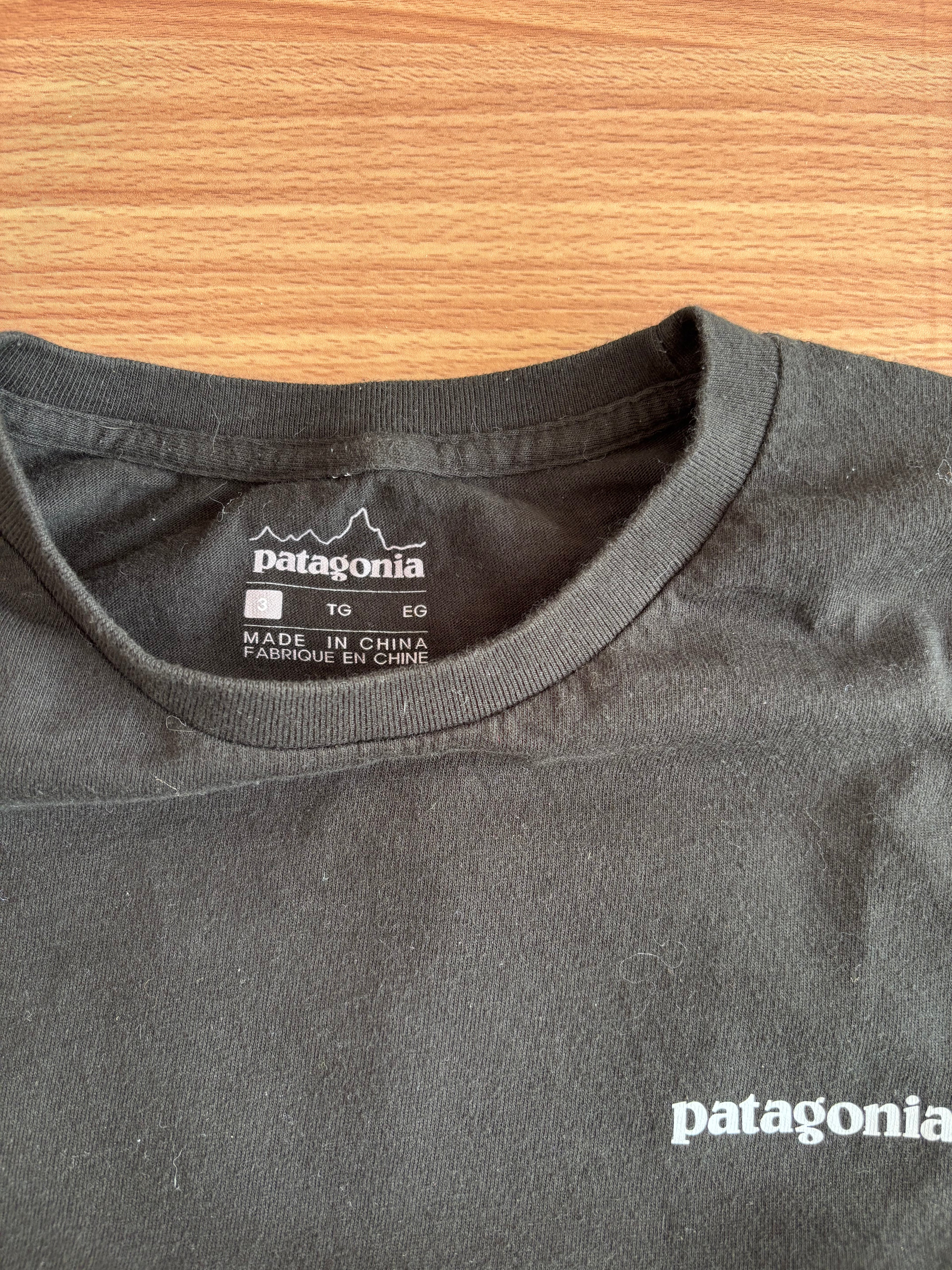 Patagonia tee