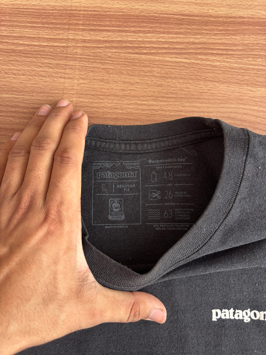 patagonia tee (M-L)