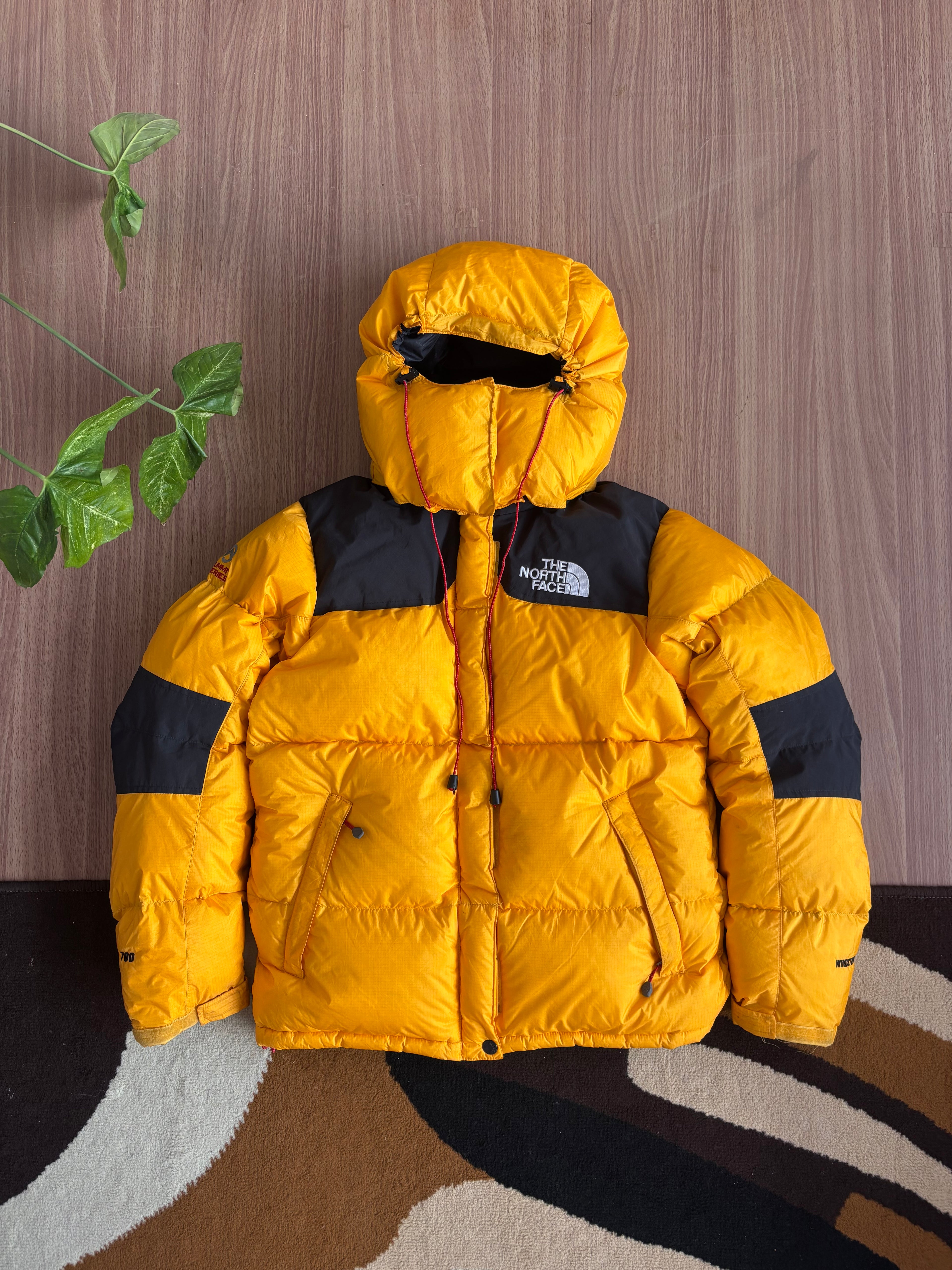 the north face summit series baltoro 700 down jacket (M)