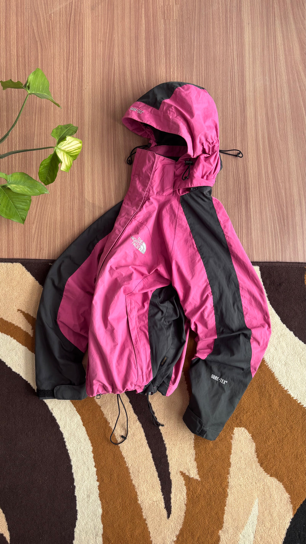 TNF ski shell