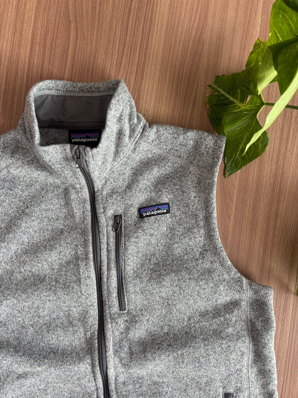 FA 19 Patagonia Fleece Vest